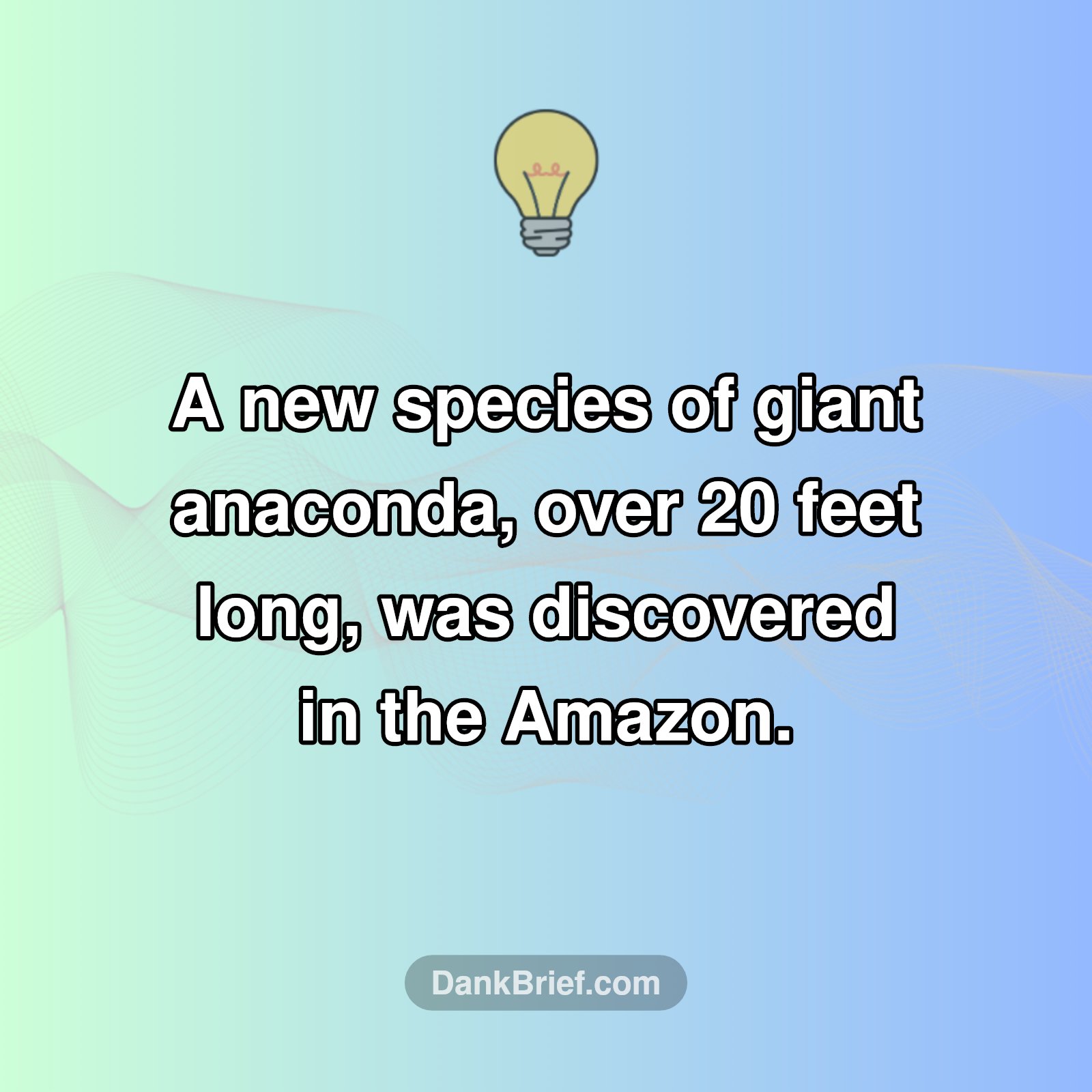 Amazon's New Giant: Anaconda Discovery!