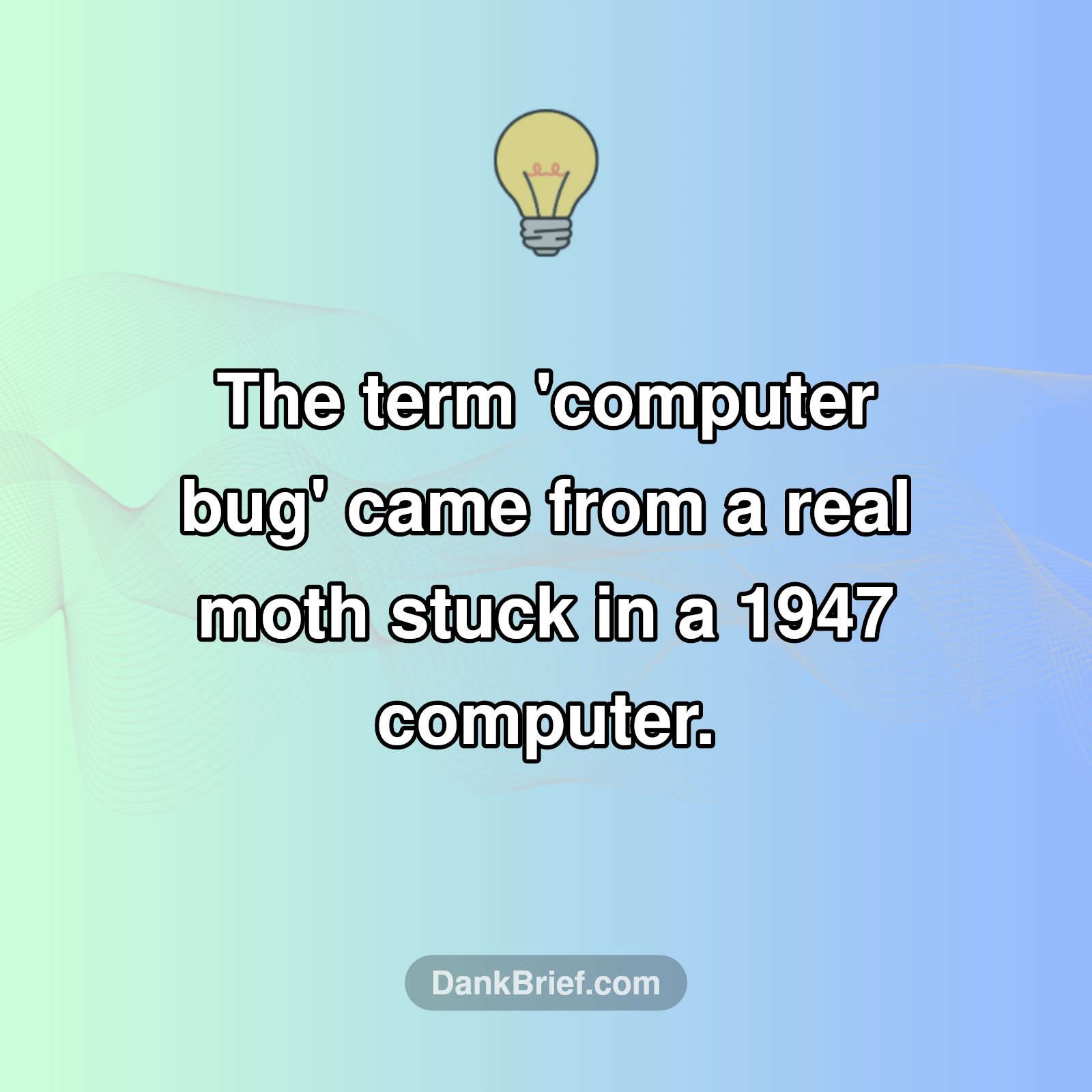 Seriously, A Bug?! 🐛