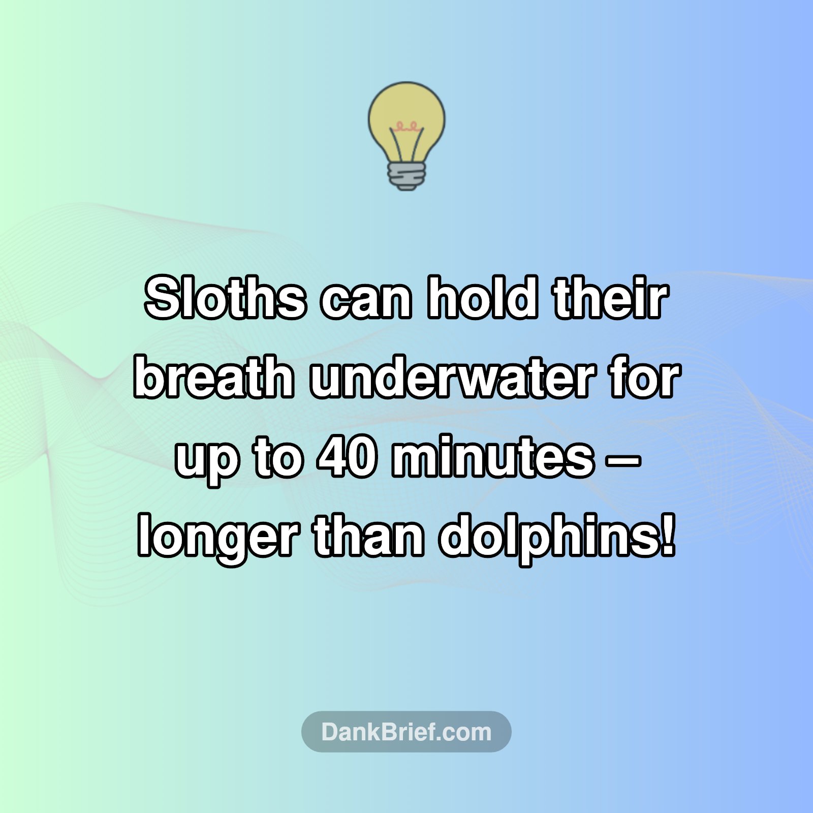 Mind BLOWN: Sloths Are Aquatic Champs?!