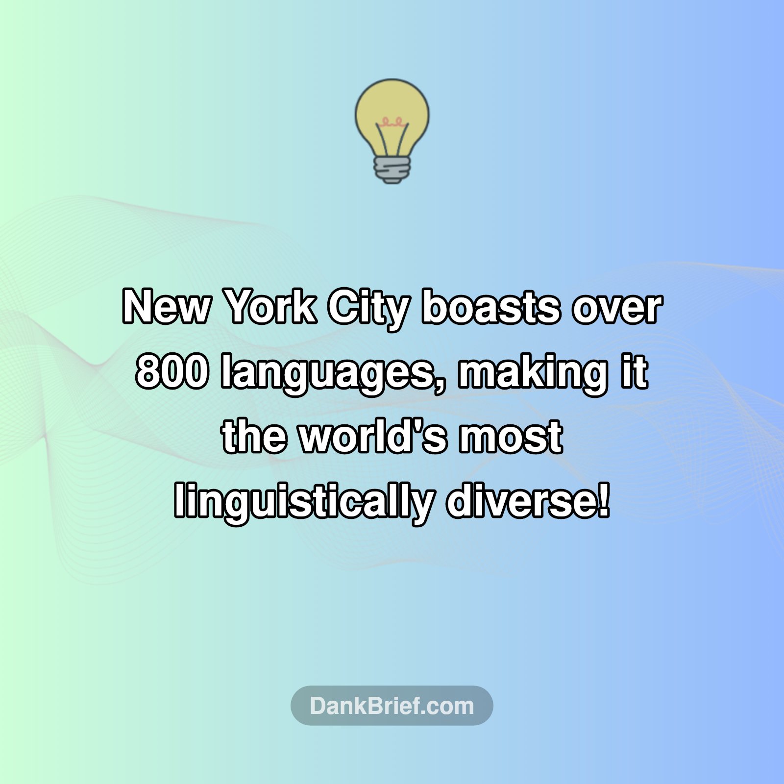 NYC's Linguistic Wonderland!