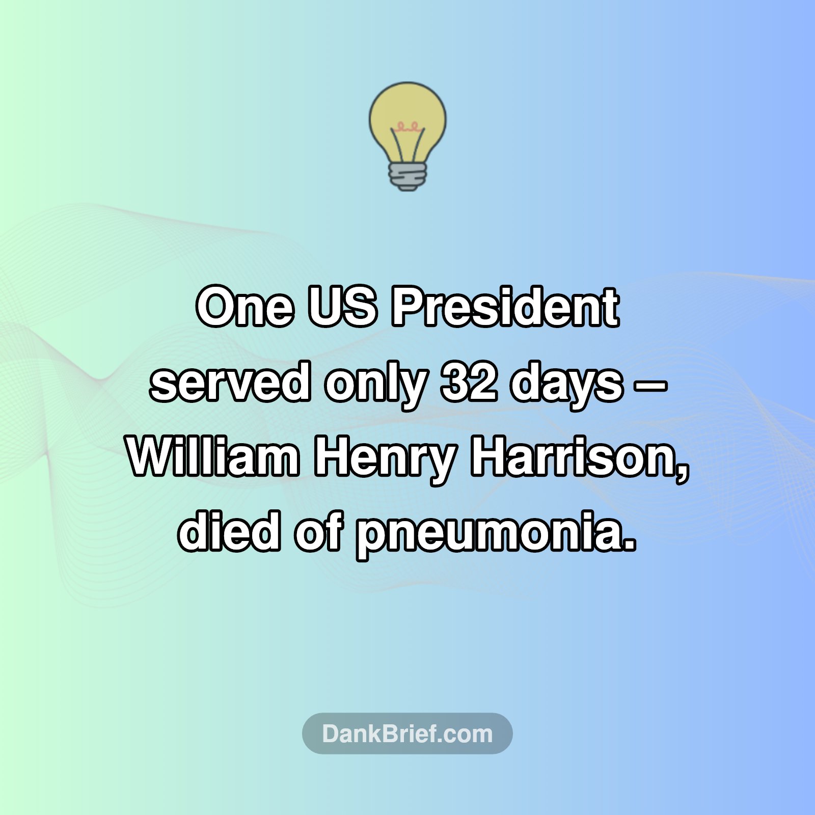 The Wildest Presidential Term EVER
