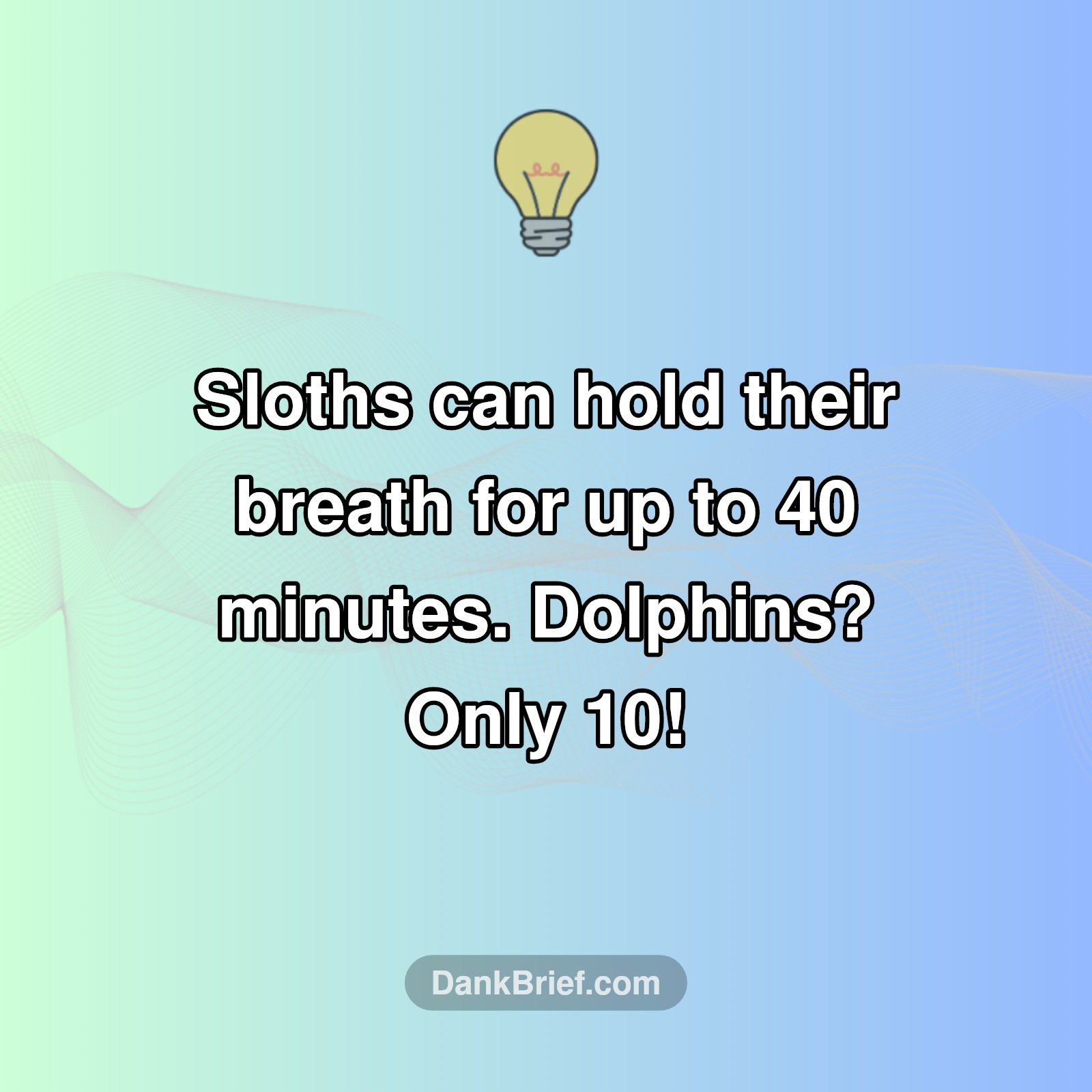 Mind Blown: Sloths Hold Their Breath Longer Than WHAT?!