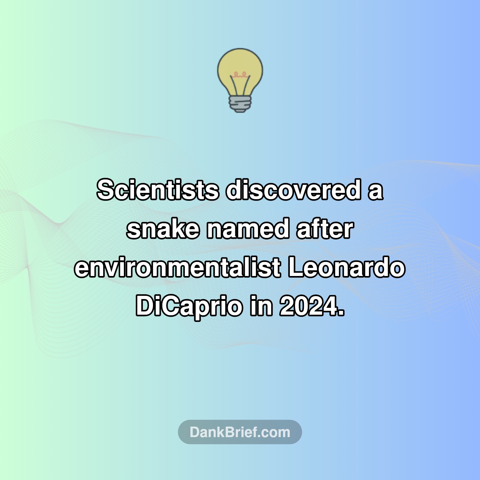 Celeb-Inspired Critters: The DiCaprio Snake!