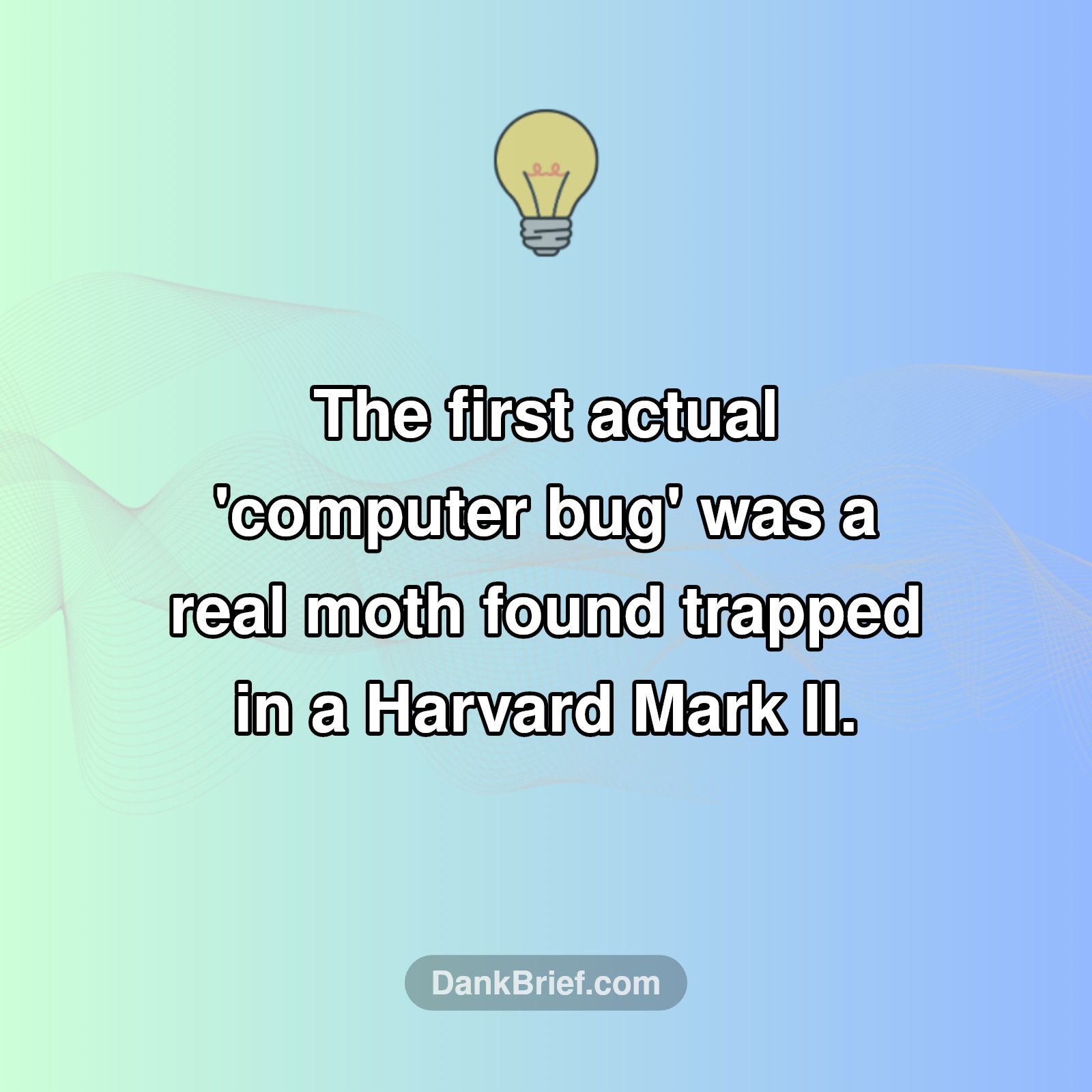 The OG Computer Bug was a Moth! 🦋