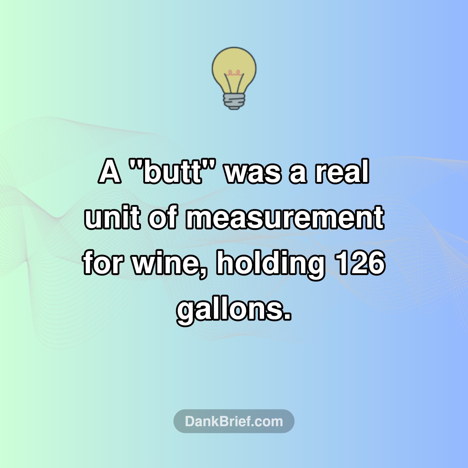 Did You Know: A Buttload of Wine?