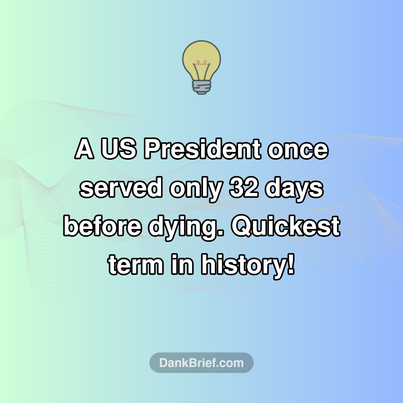 Wildest Presidency EVER?