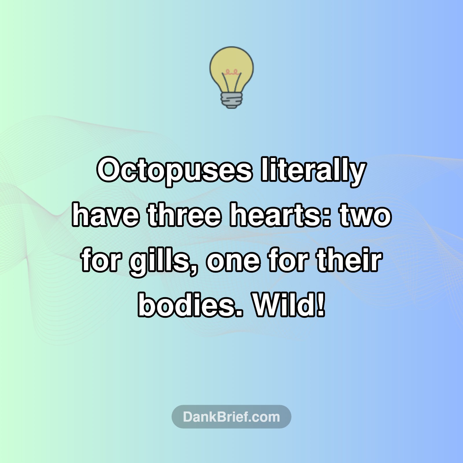 This Octo-Fact Will Blow Your Mind!