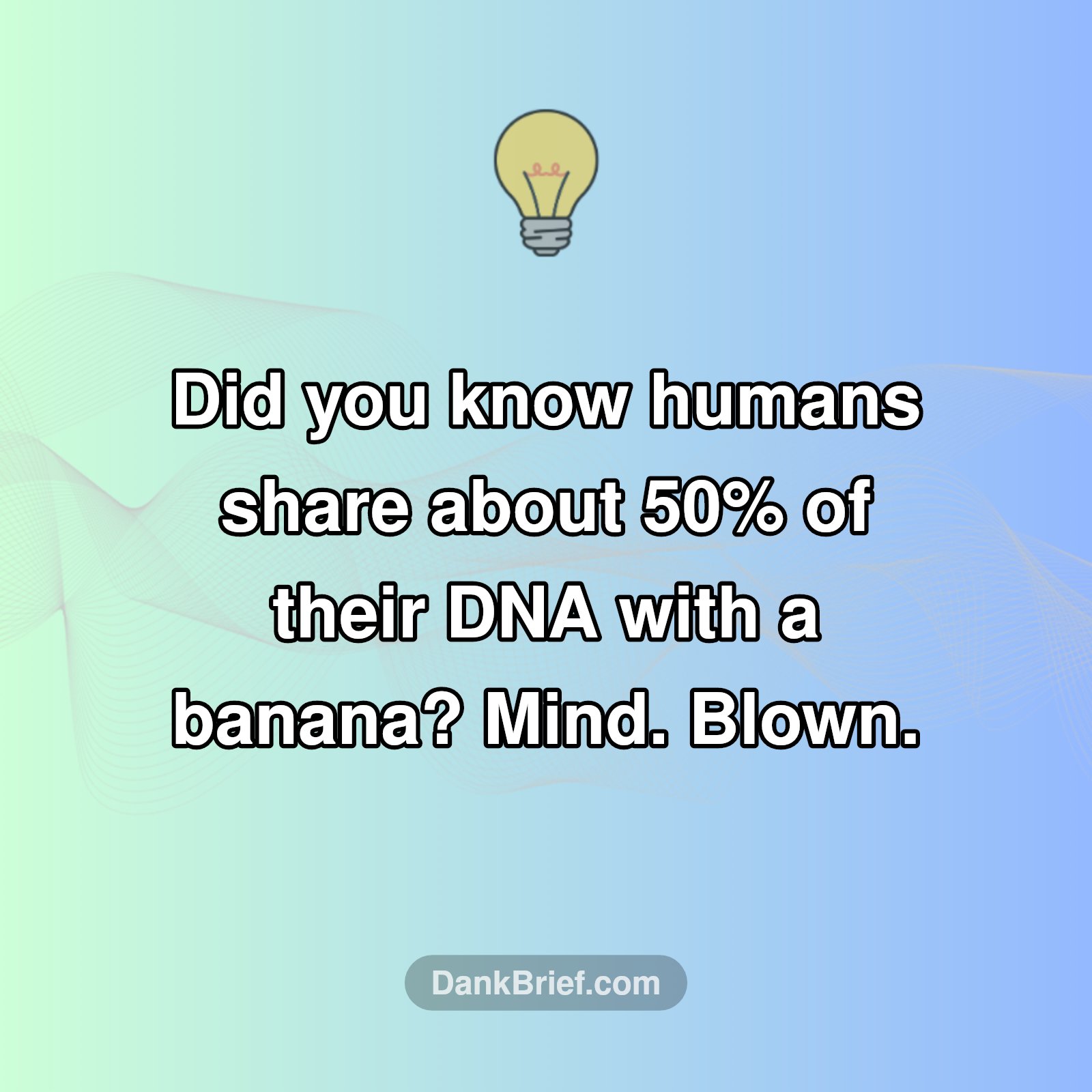 You're Basically a Banana!
