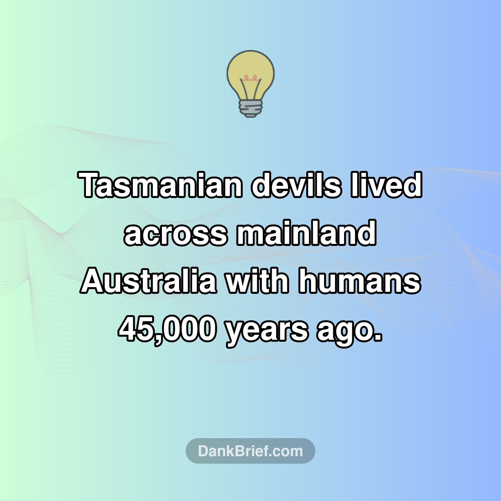 Ancient Aussie Mystery Solved!