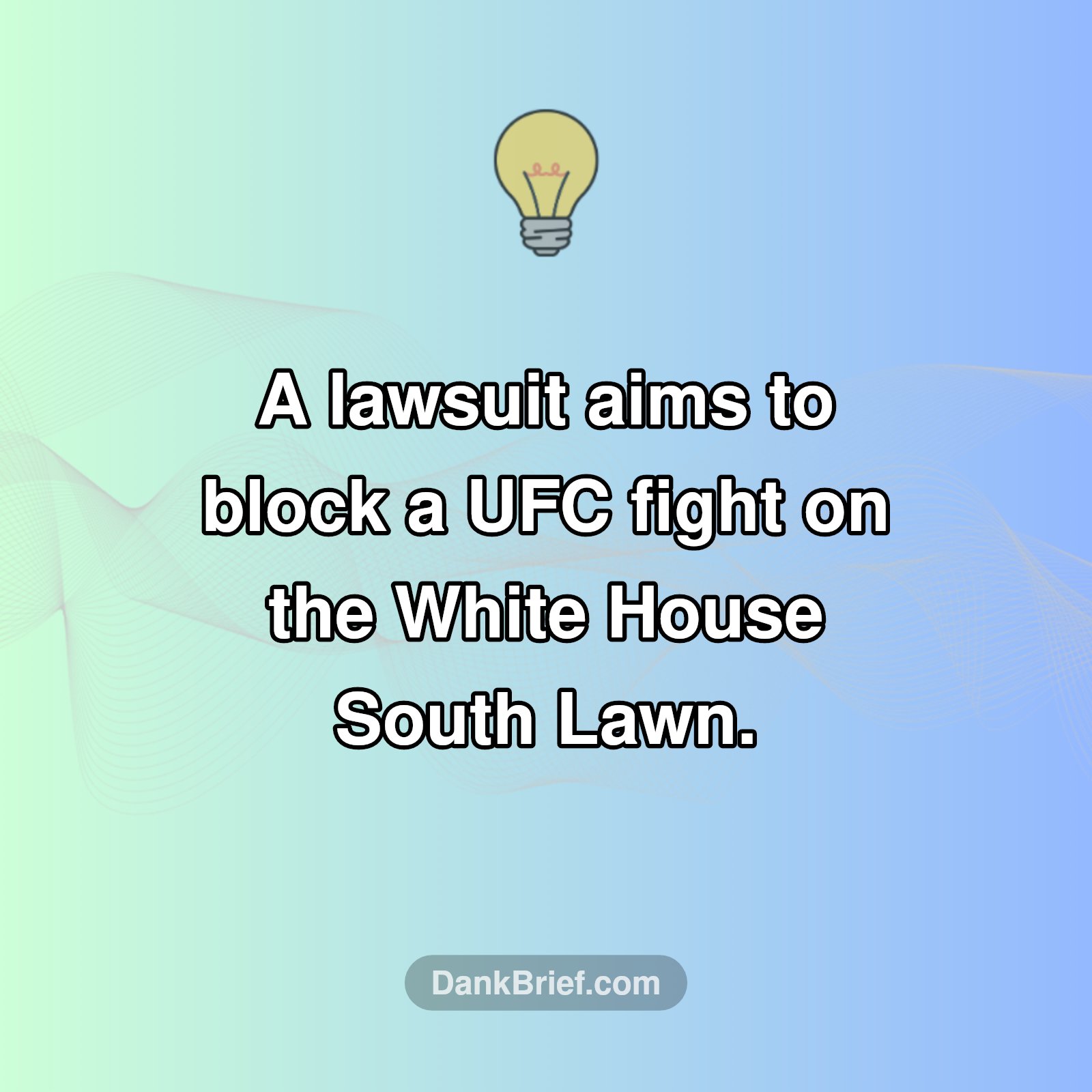 White House Cage Match?