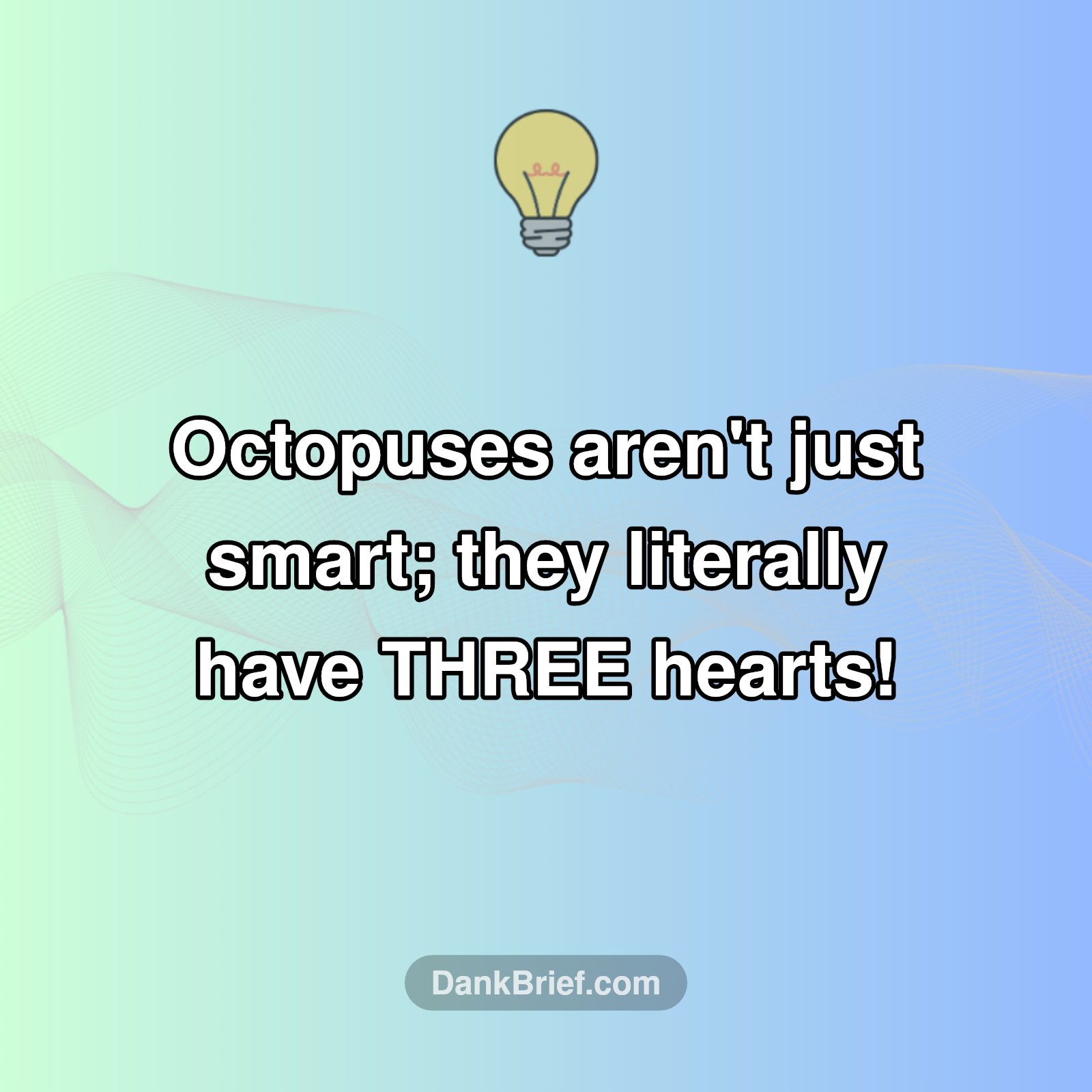 Mind Blown: Octopus Heart Game!