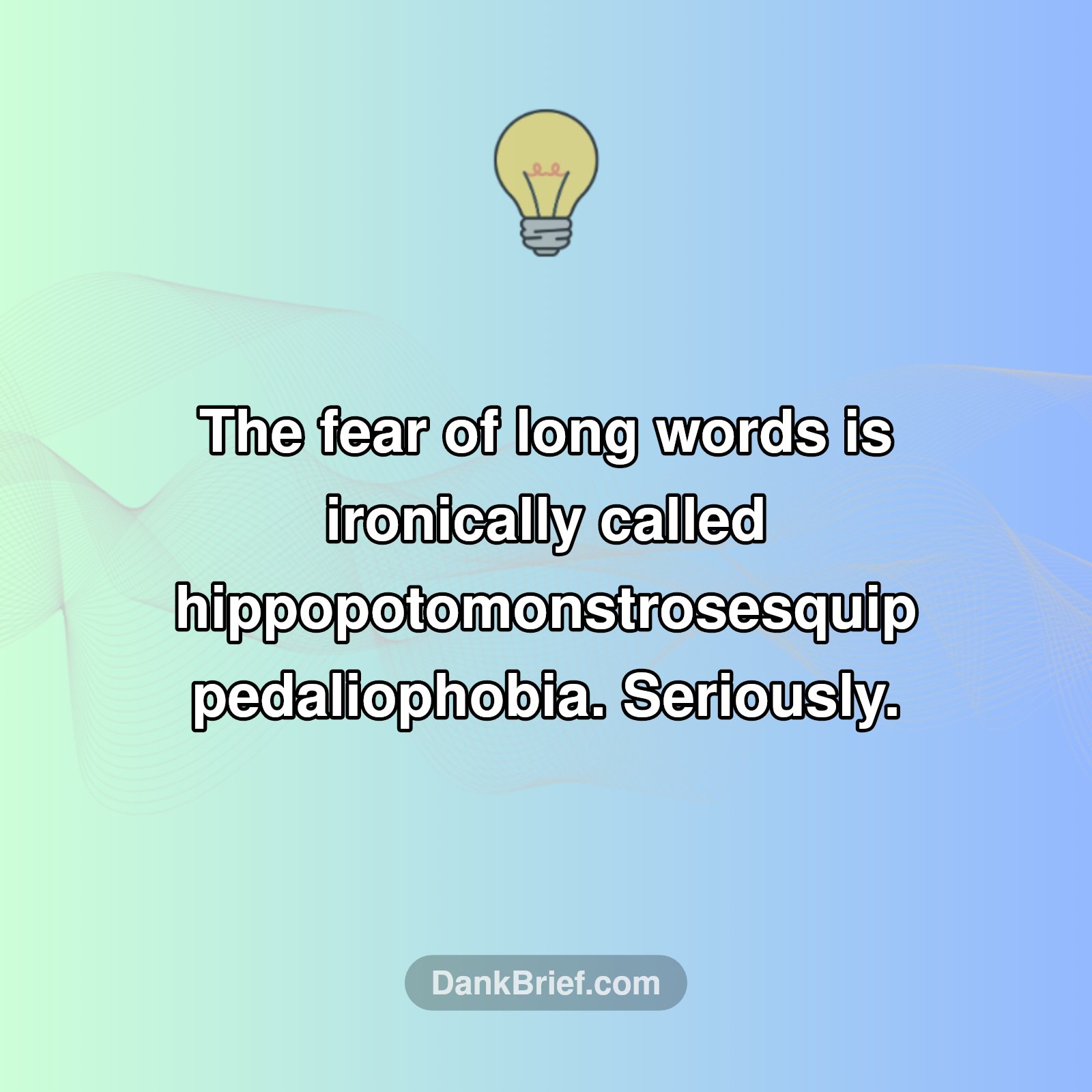 The Irony Is Real!
