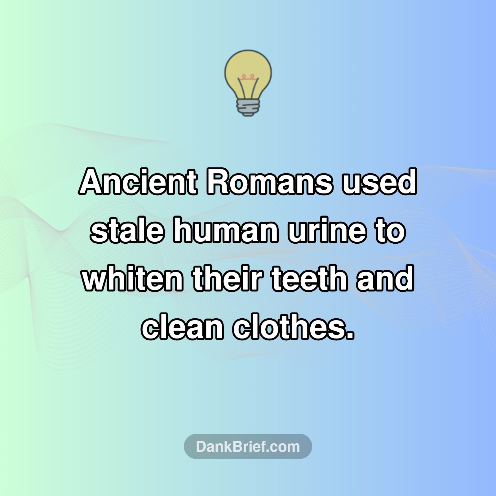Roman Hygiene Secrets: What?!