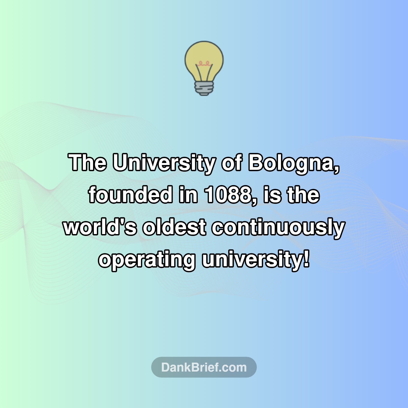 Mind Blown! This Uni Is ANCIENT