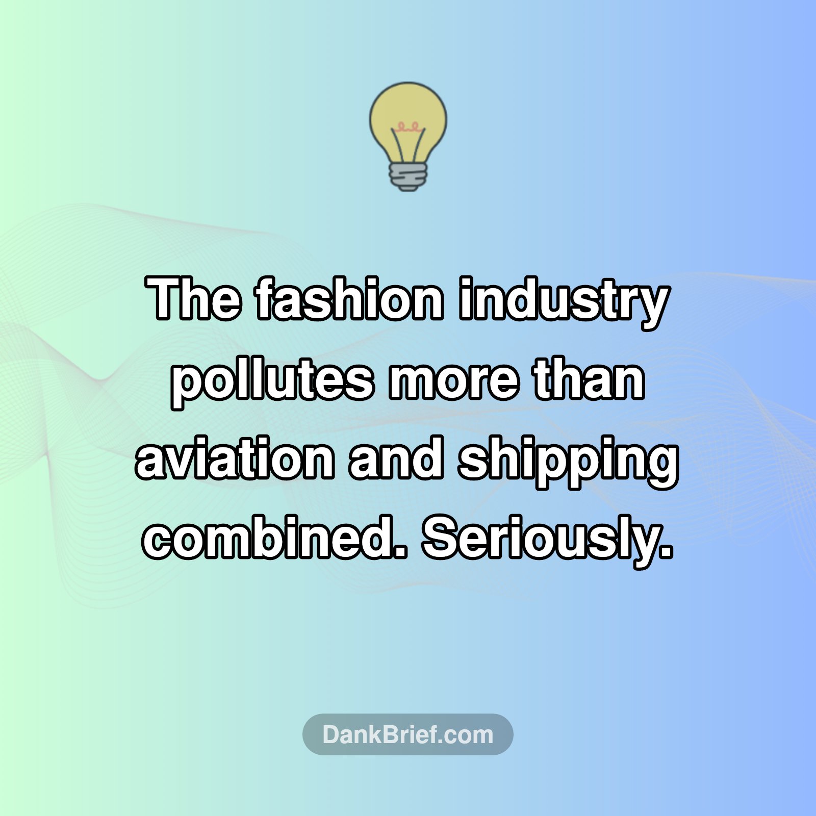 Your Closet's Wild Impact!