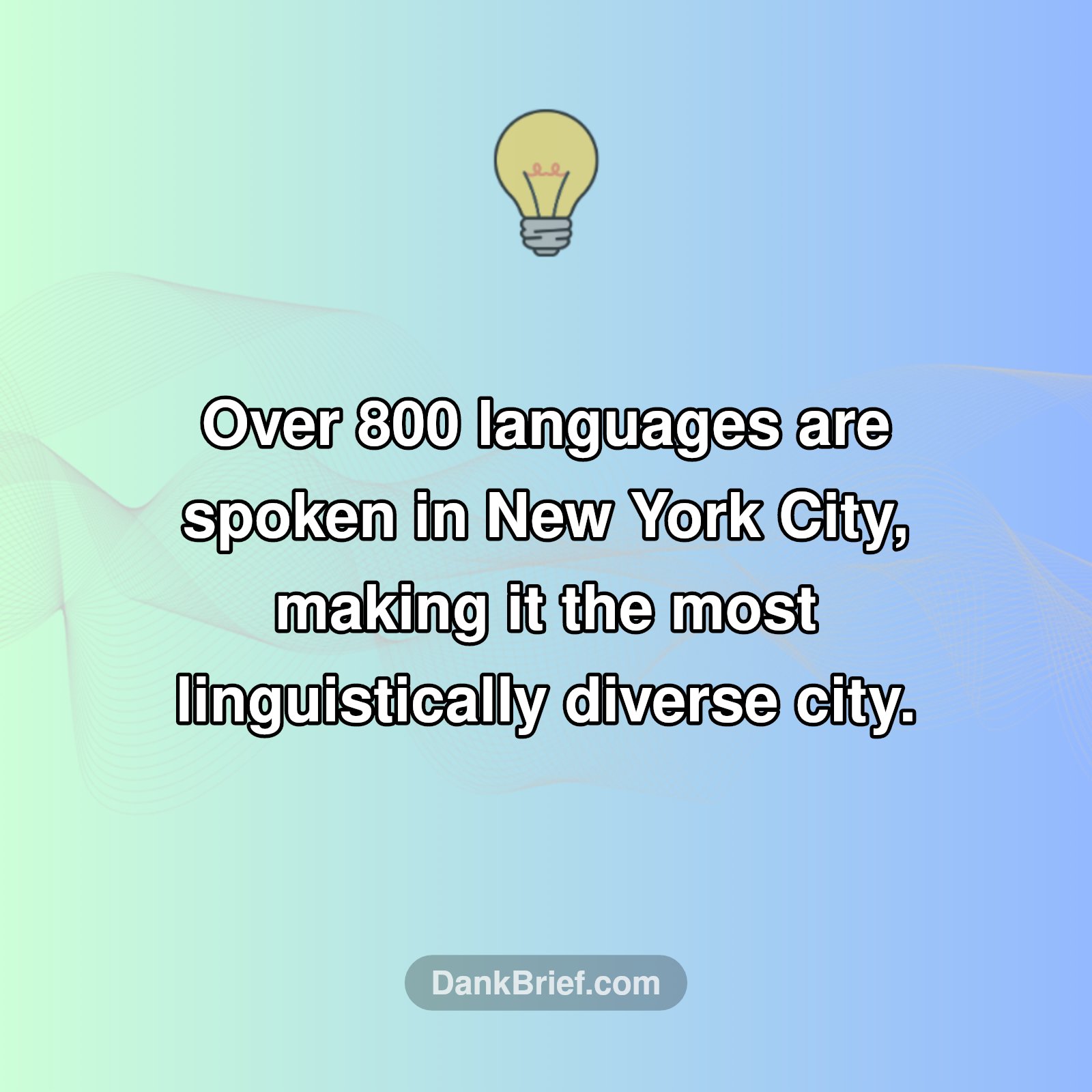 NYC's Secret Language Superpower!