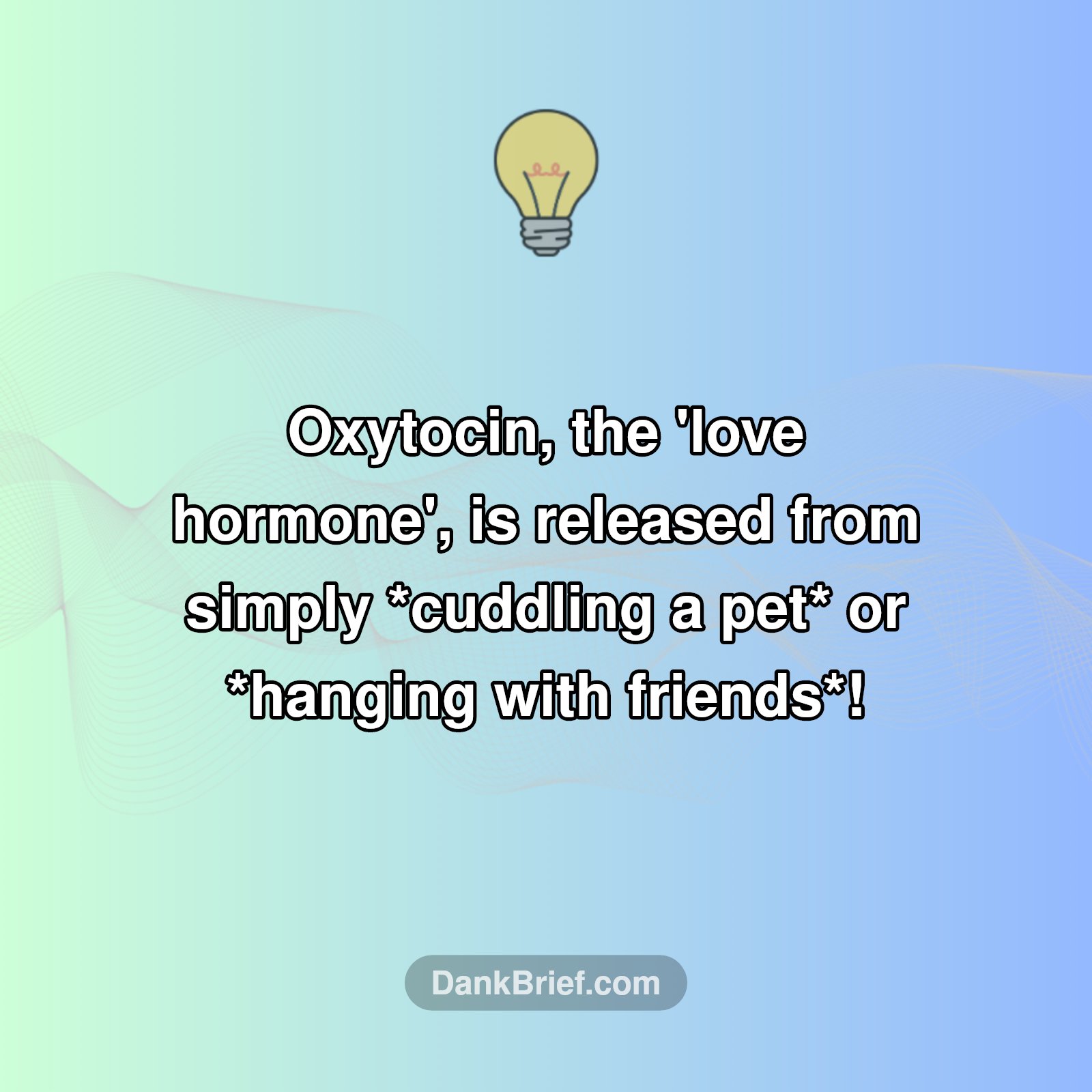 Your Brain's 'Love Potion' isn't just for Lovers!