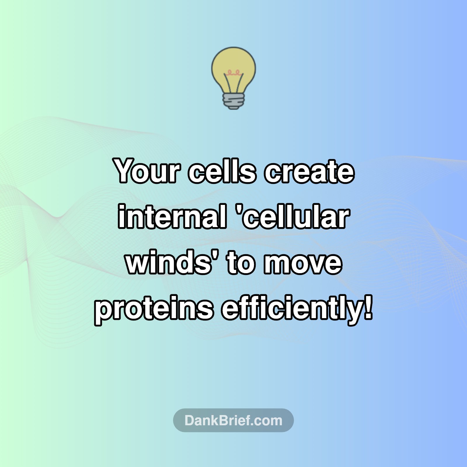 Cellular Airflow: The Tiny Winds Within You!