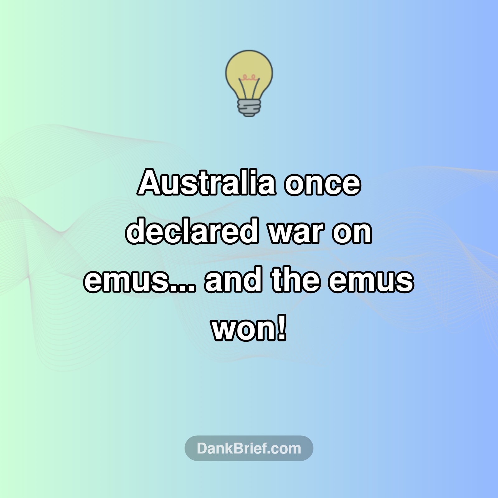 The Unbelievable Emu War