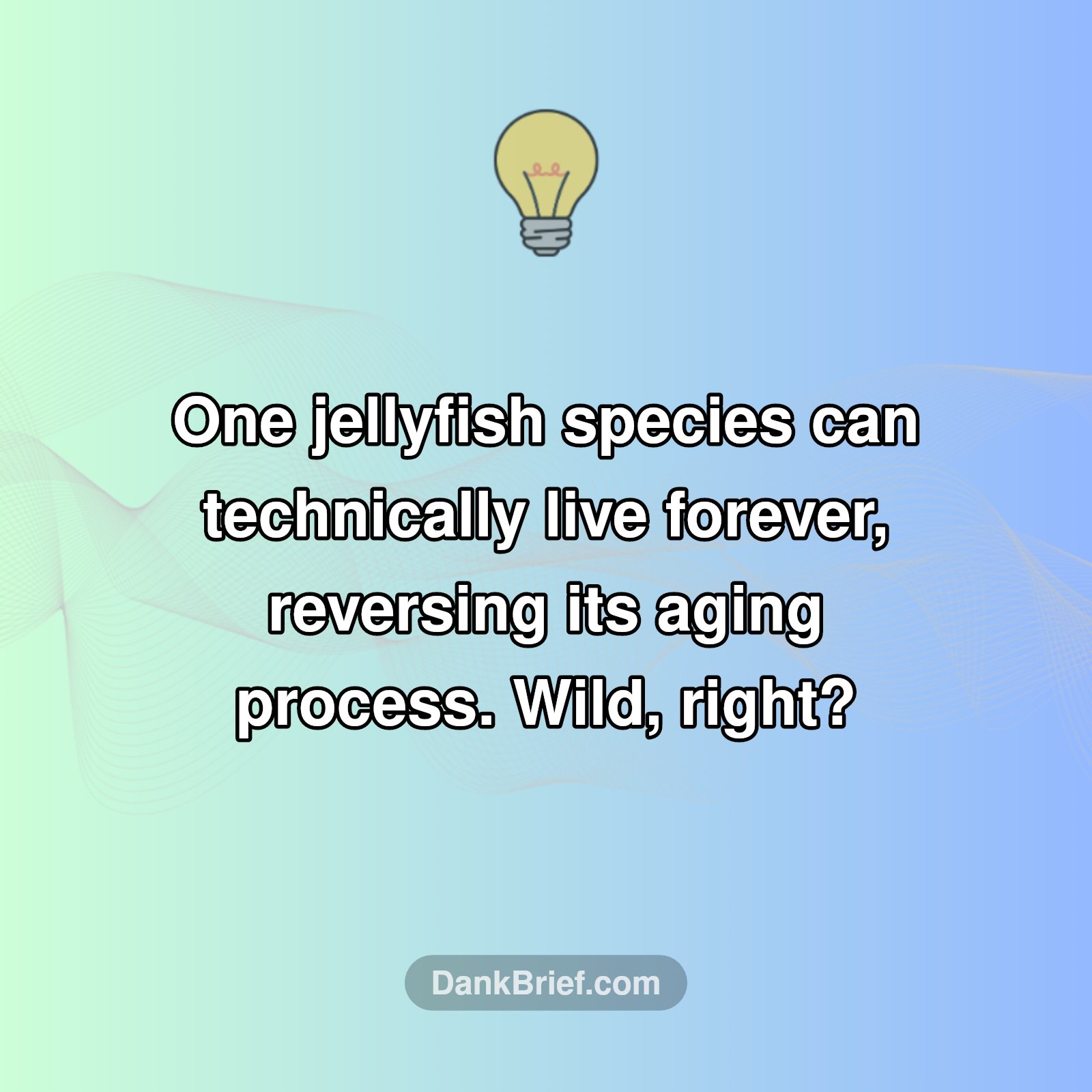 Immortal Jellyfish? Seriously?!