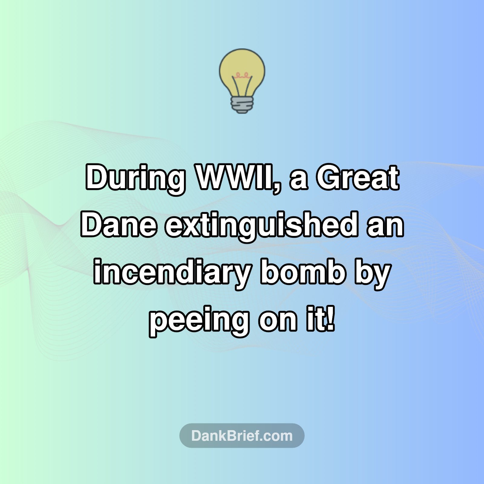 Pee-fectly Timed History!