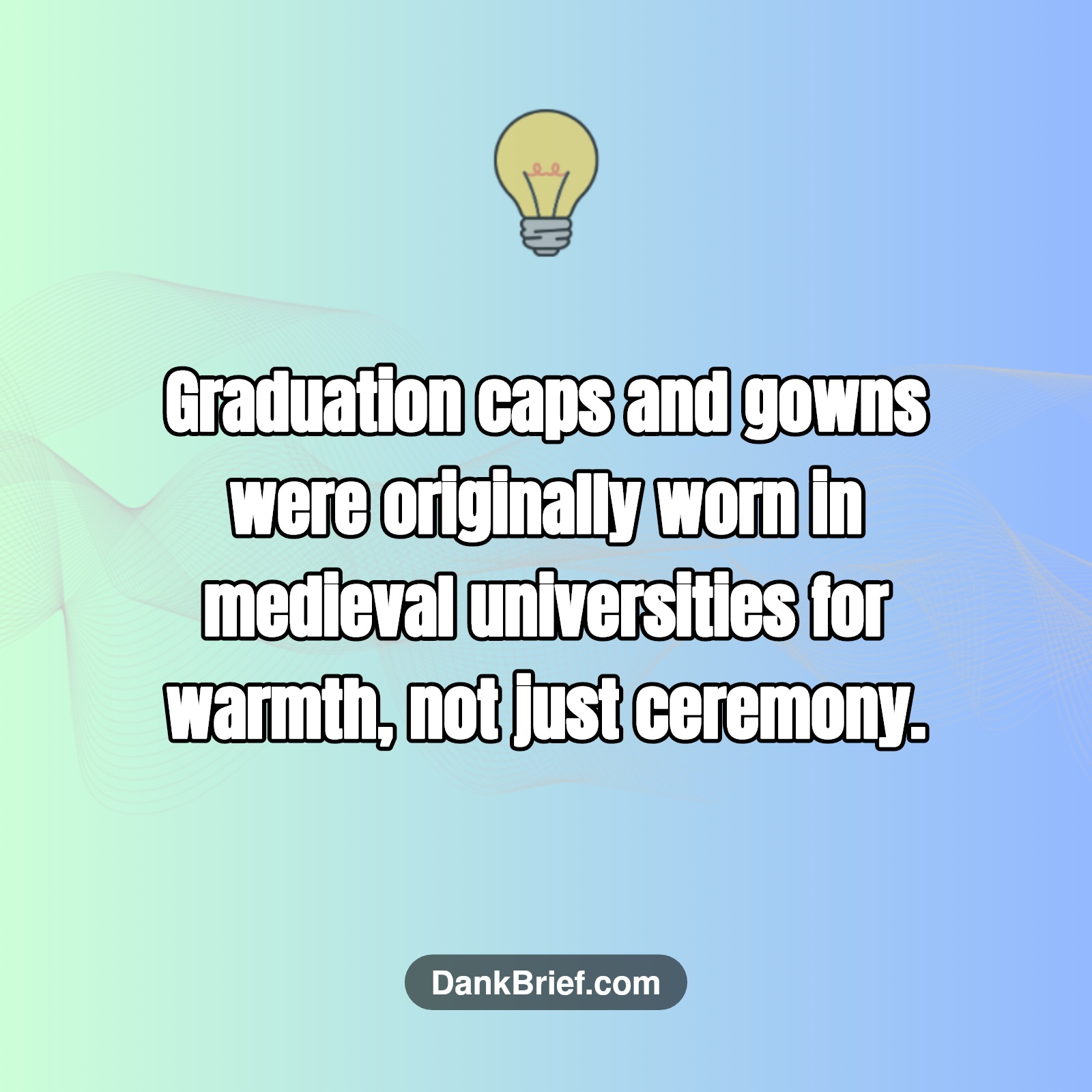 Did You Know…