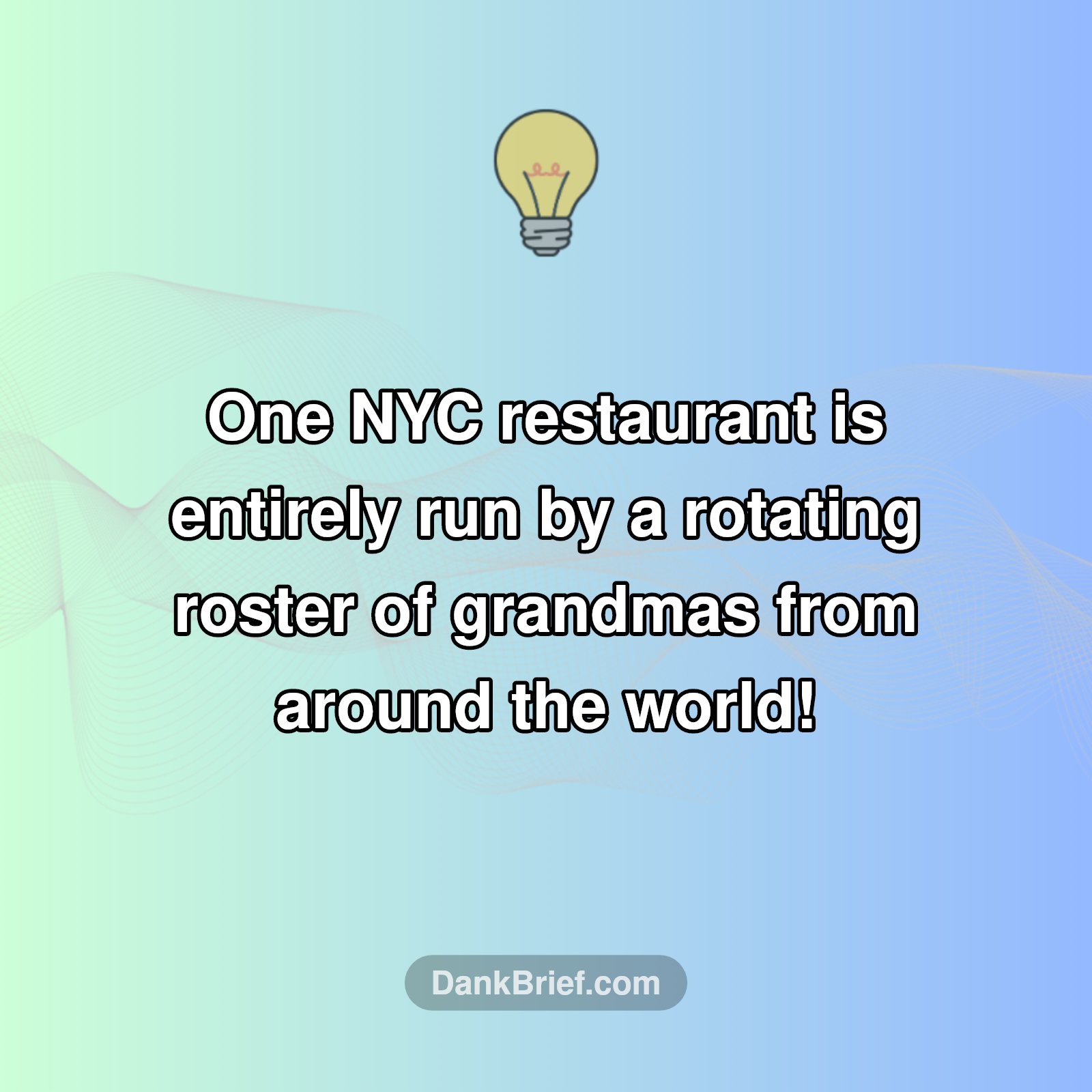 NYC's Secret Chefs: Global Grandmas!