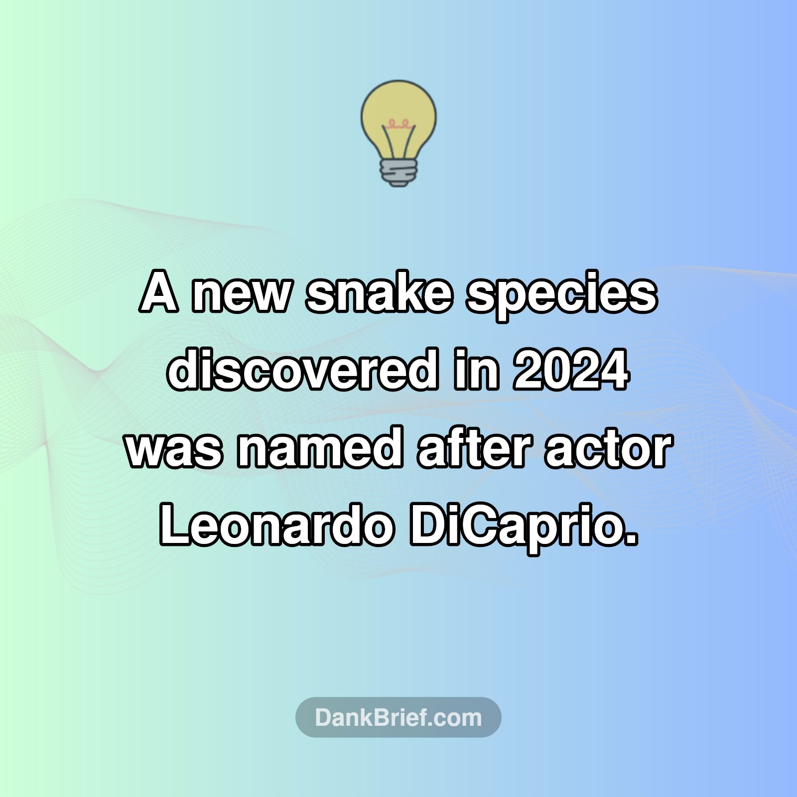 Leo's Slithery Namesake!