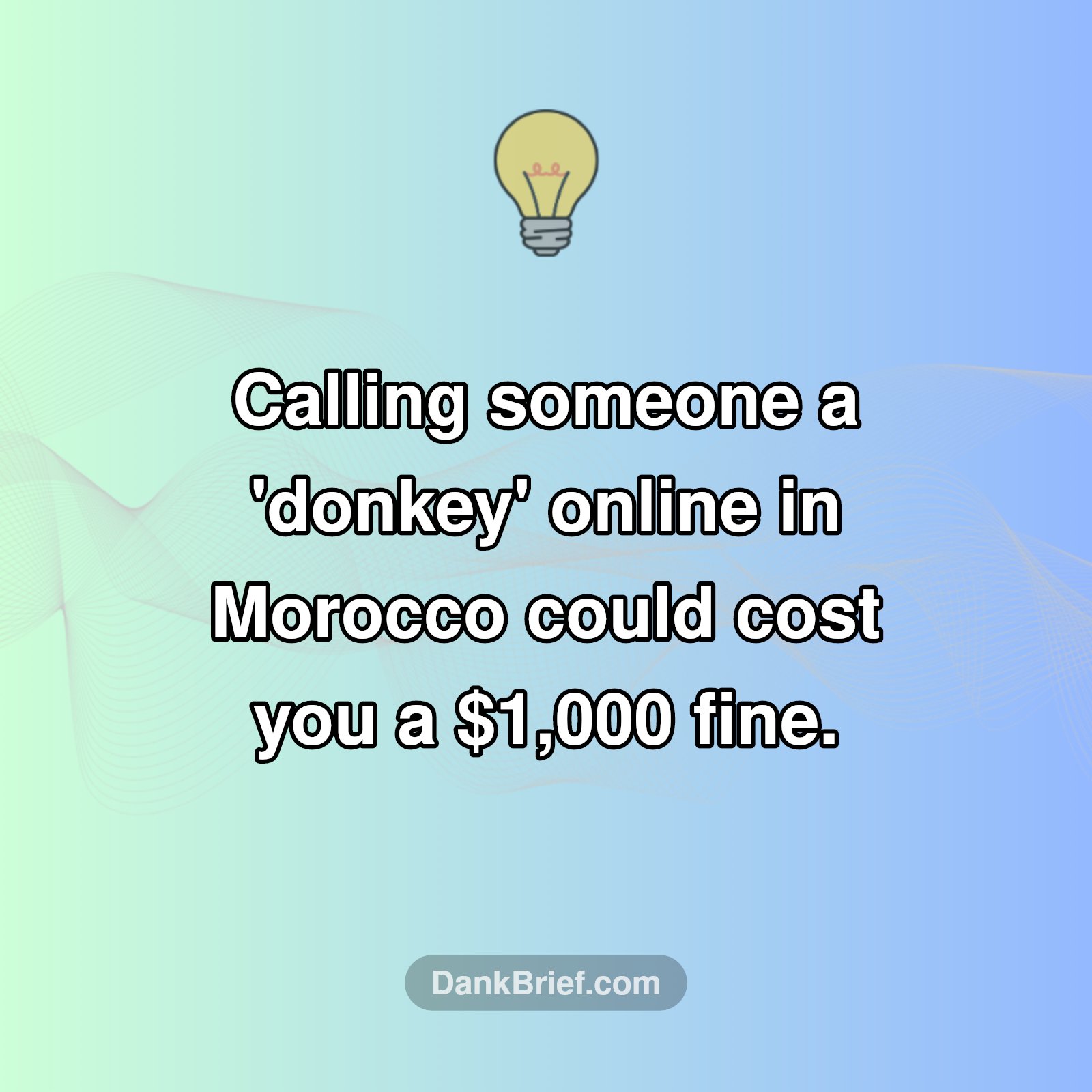 Morocco's Surprising Online Law