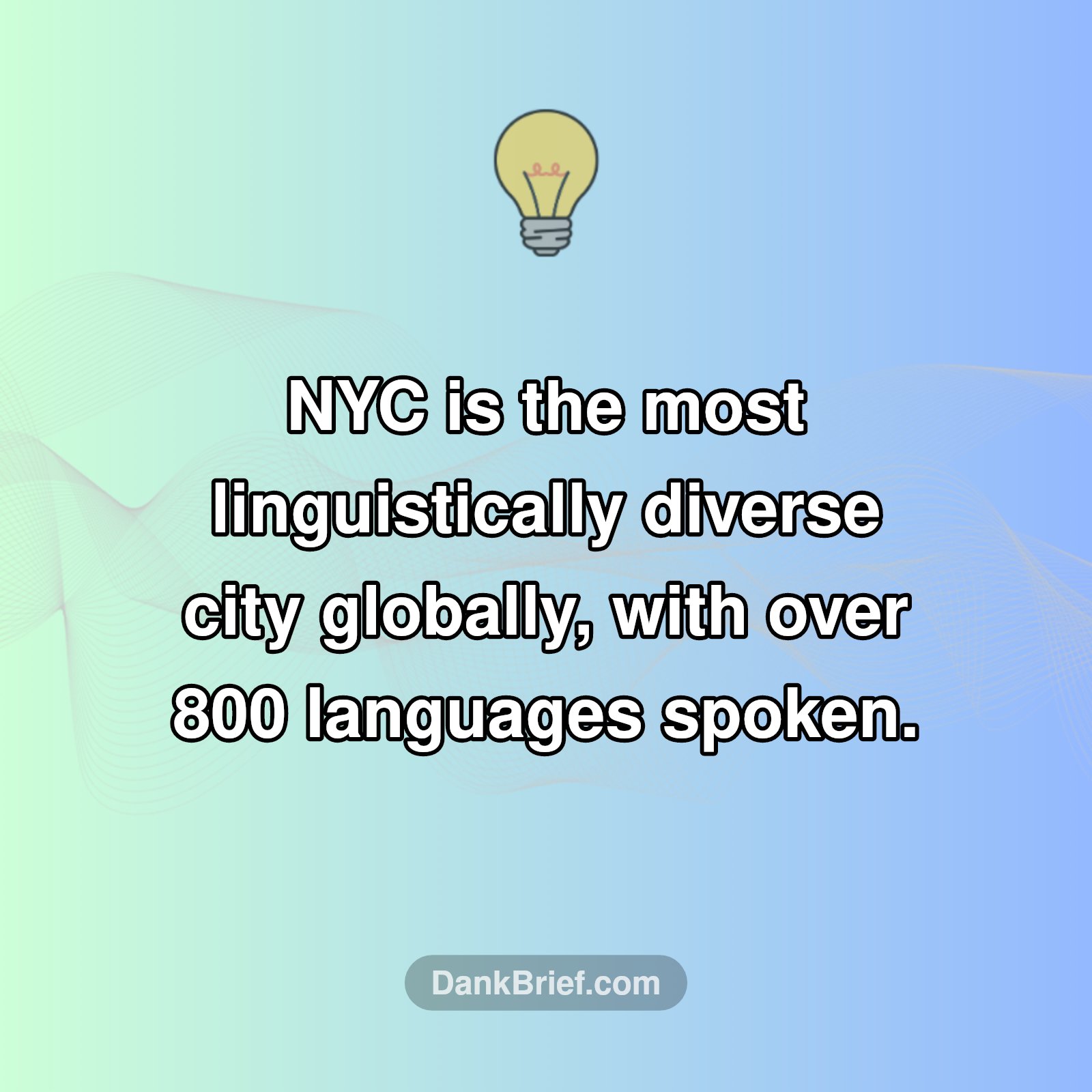 NYC's WILD Language Secret!