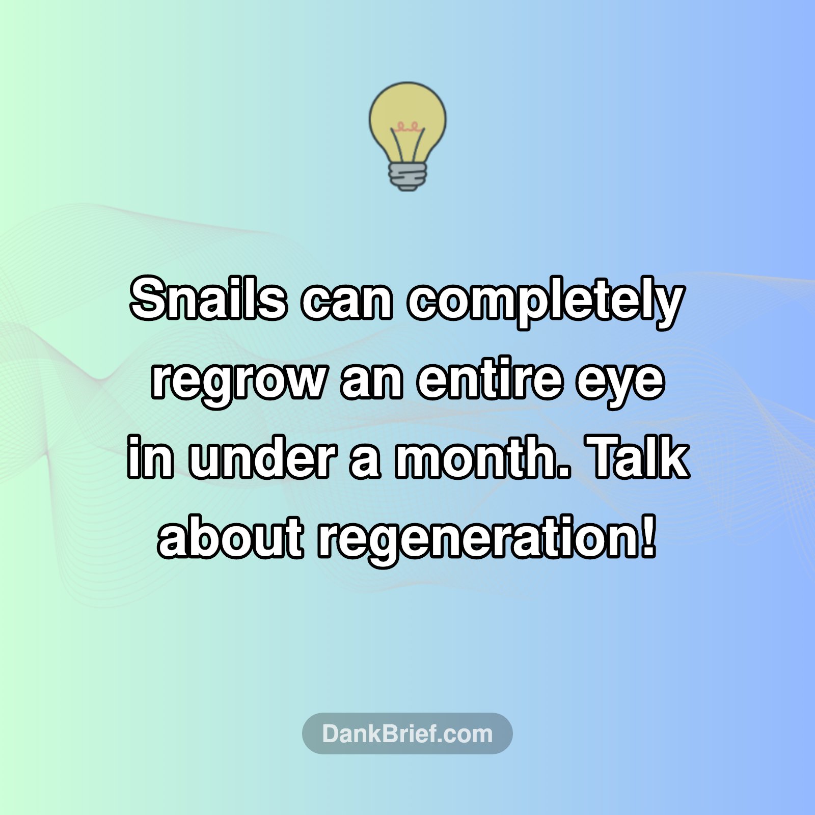 Mind-Blowing Nature Fact!
