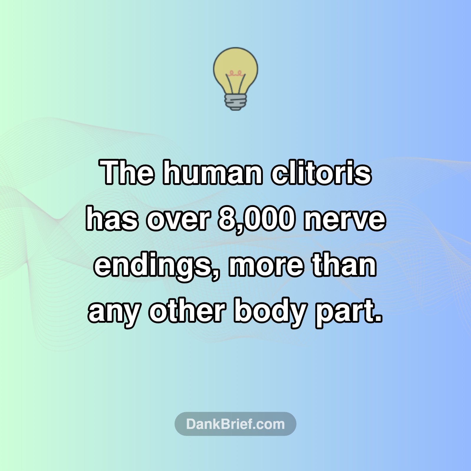 This Body Part Is A Nerve Superhighway!