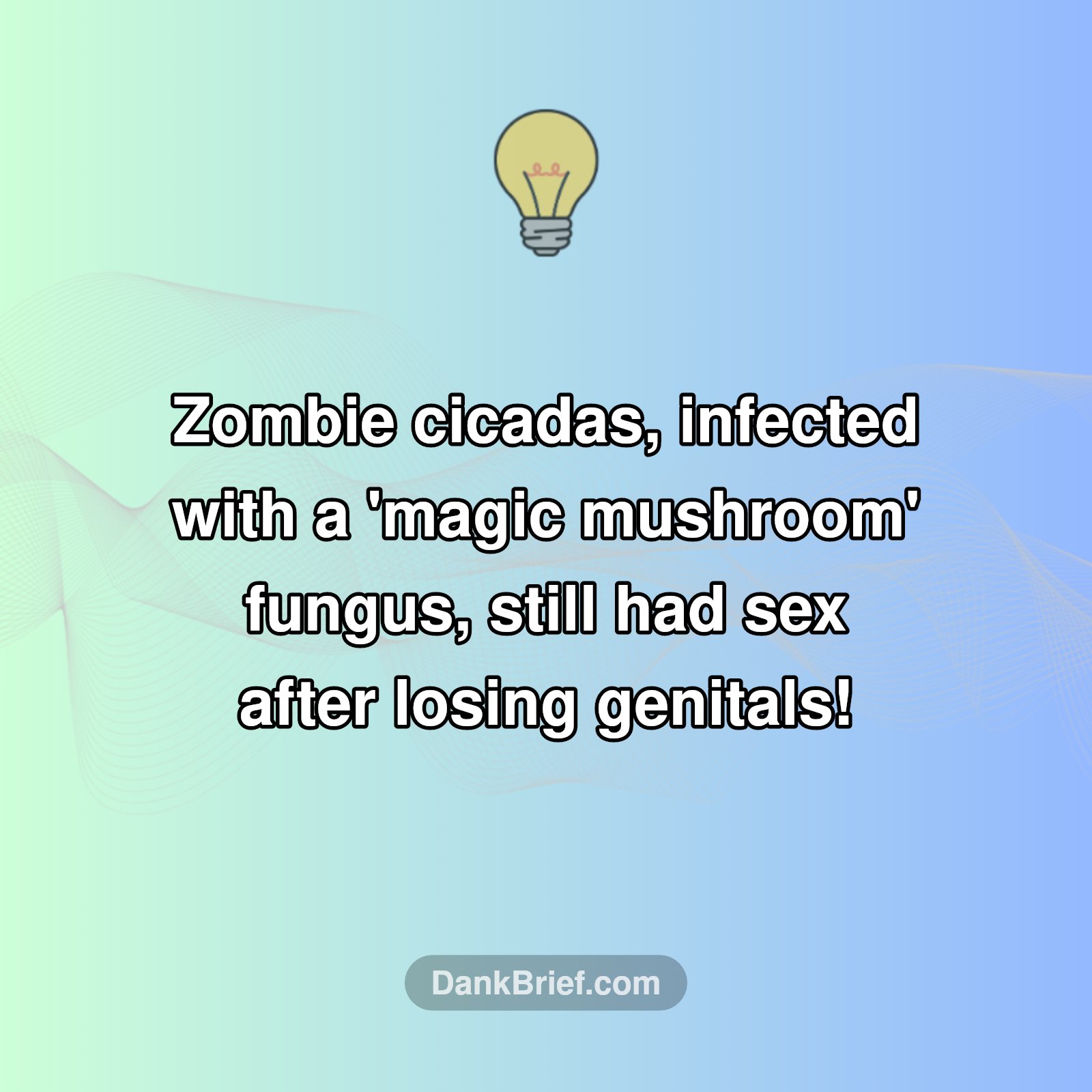 Nature's Wildest Party Animals?