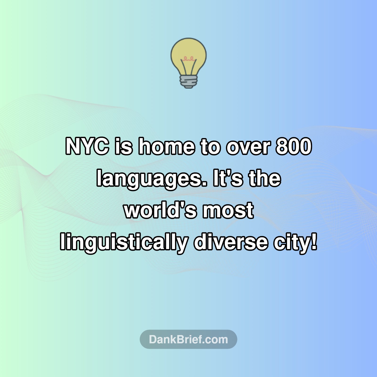 NYC's Secret Superpower!