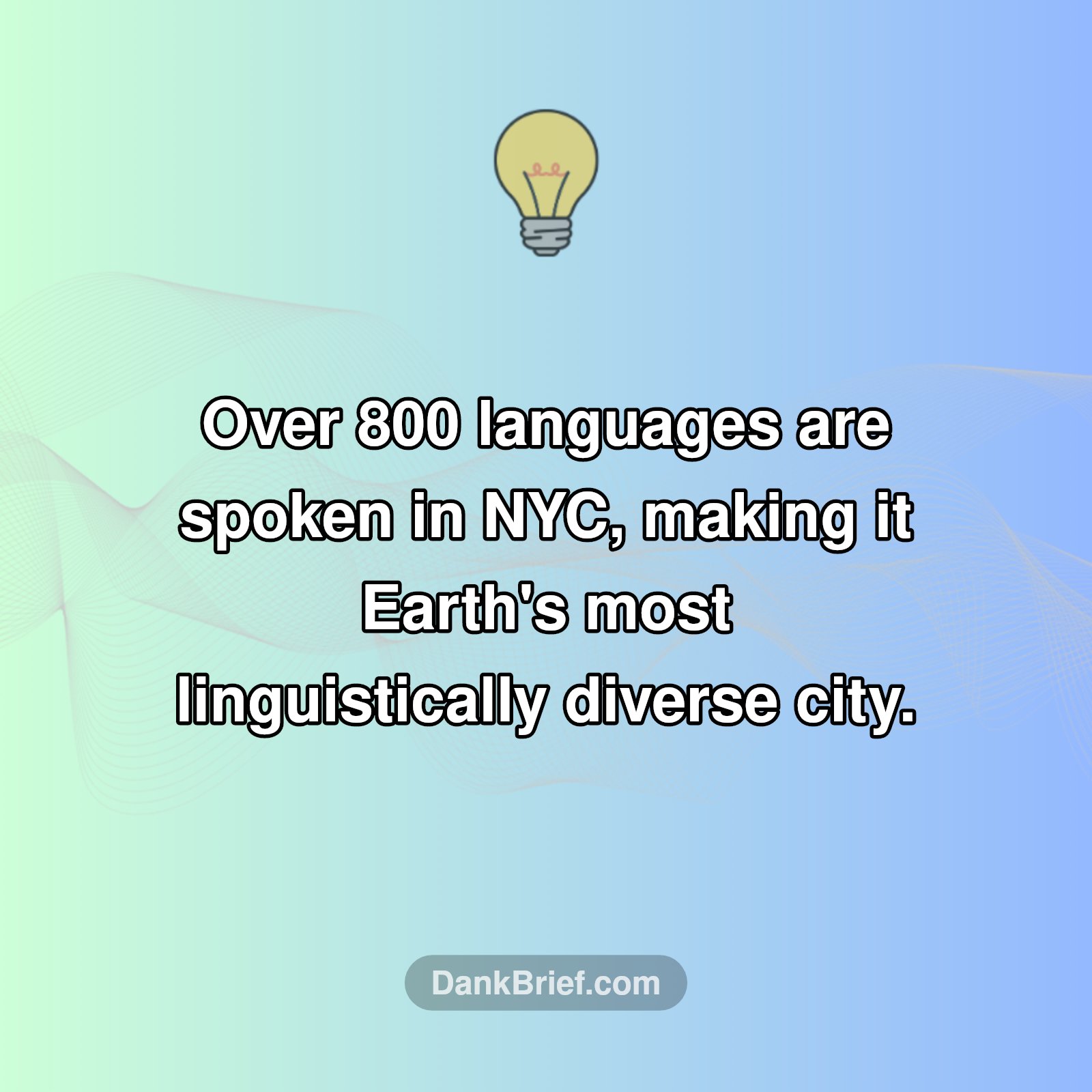 NYC: A Universe of Languages!