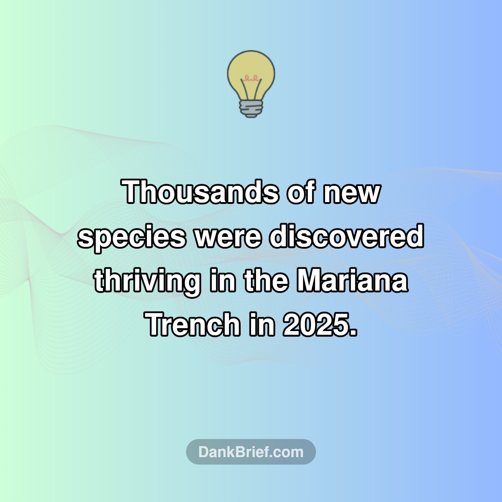 Mind-Blowing Deep Sea Discovery!