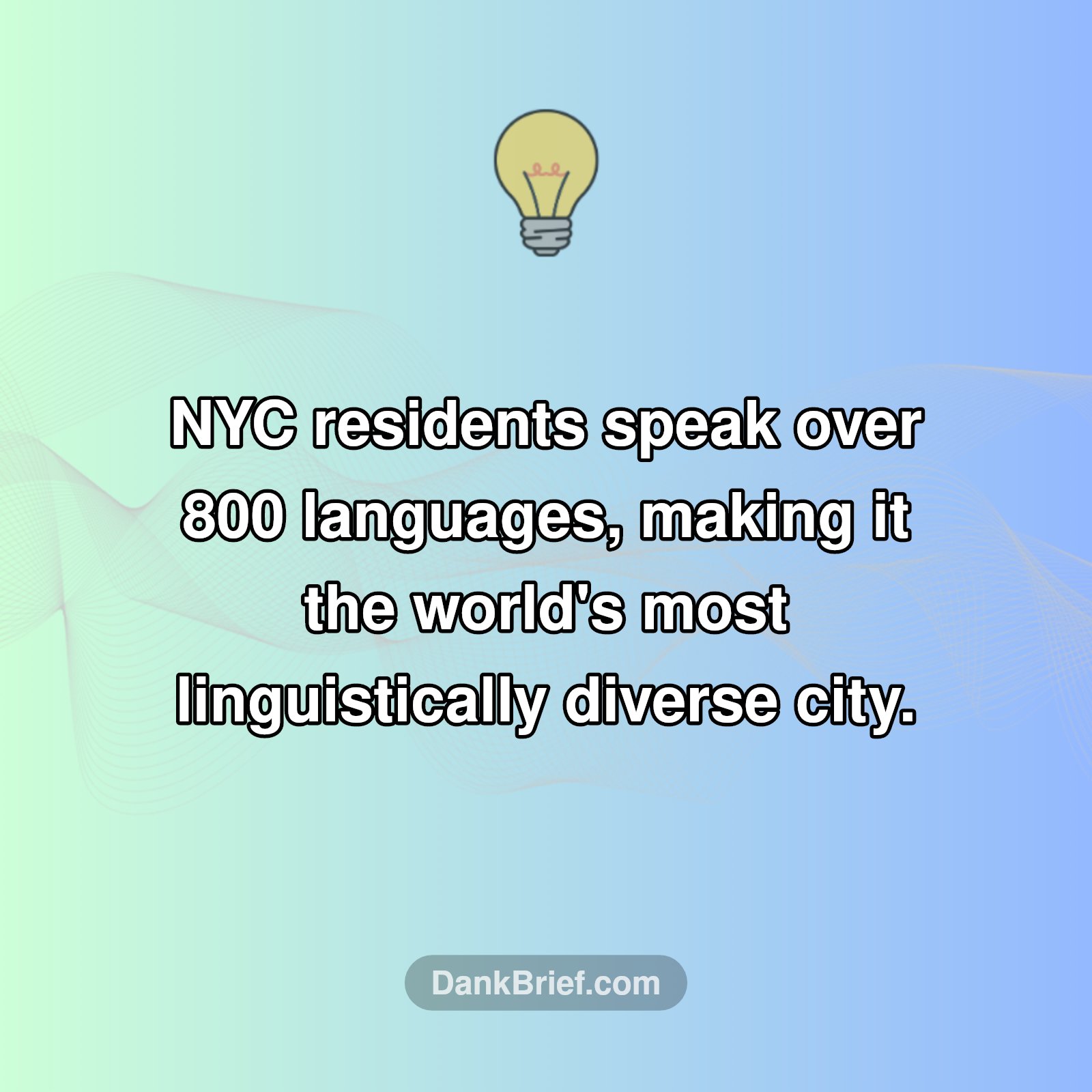NYC's Secret Language Superpower!