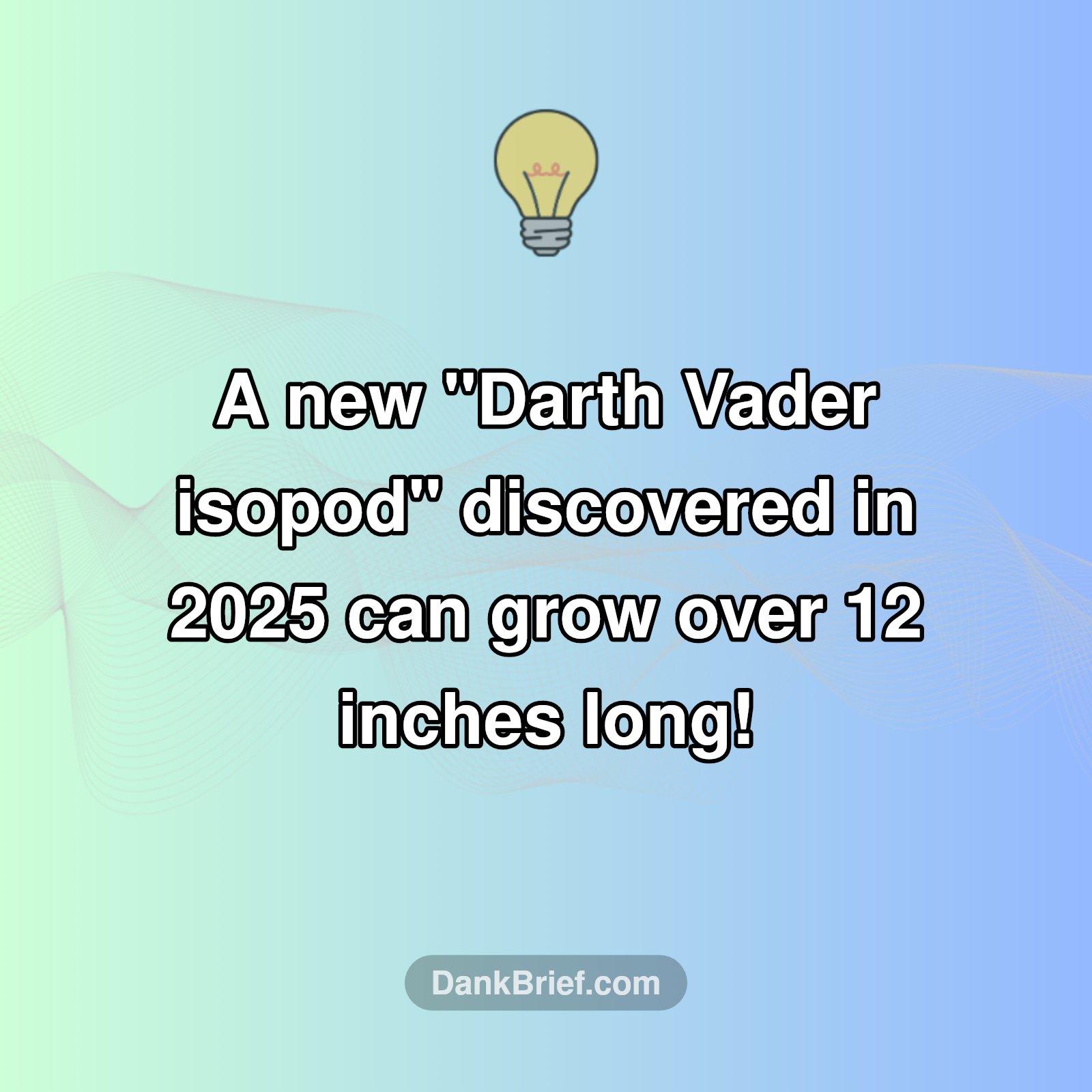 Deep-Sea Discovery Shocks Scientists!