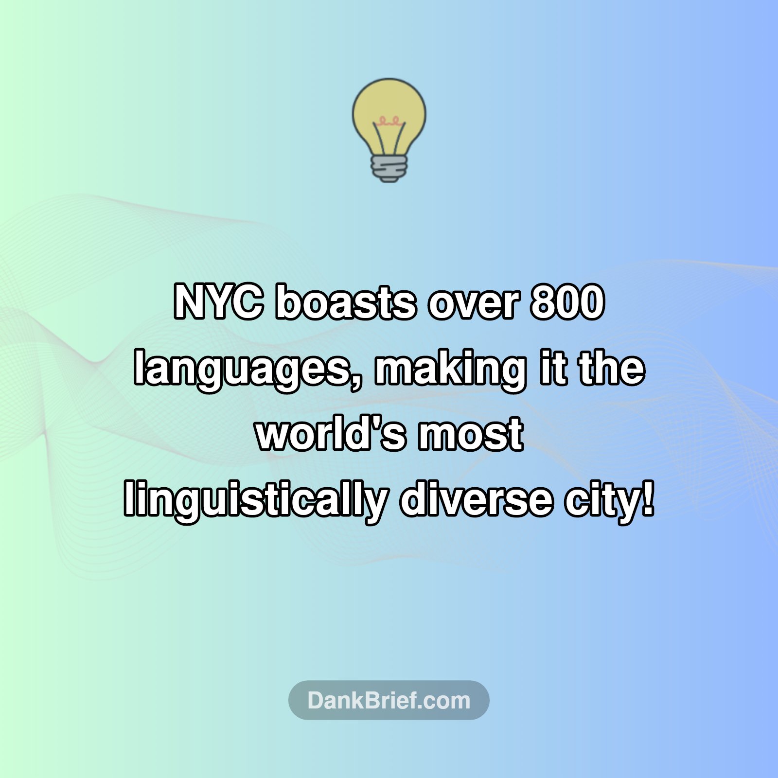 NYC's Wild Linguistic Mix!