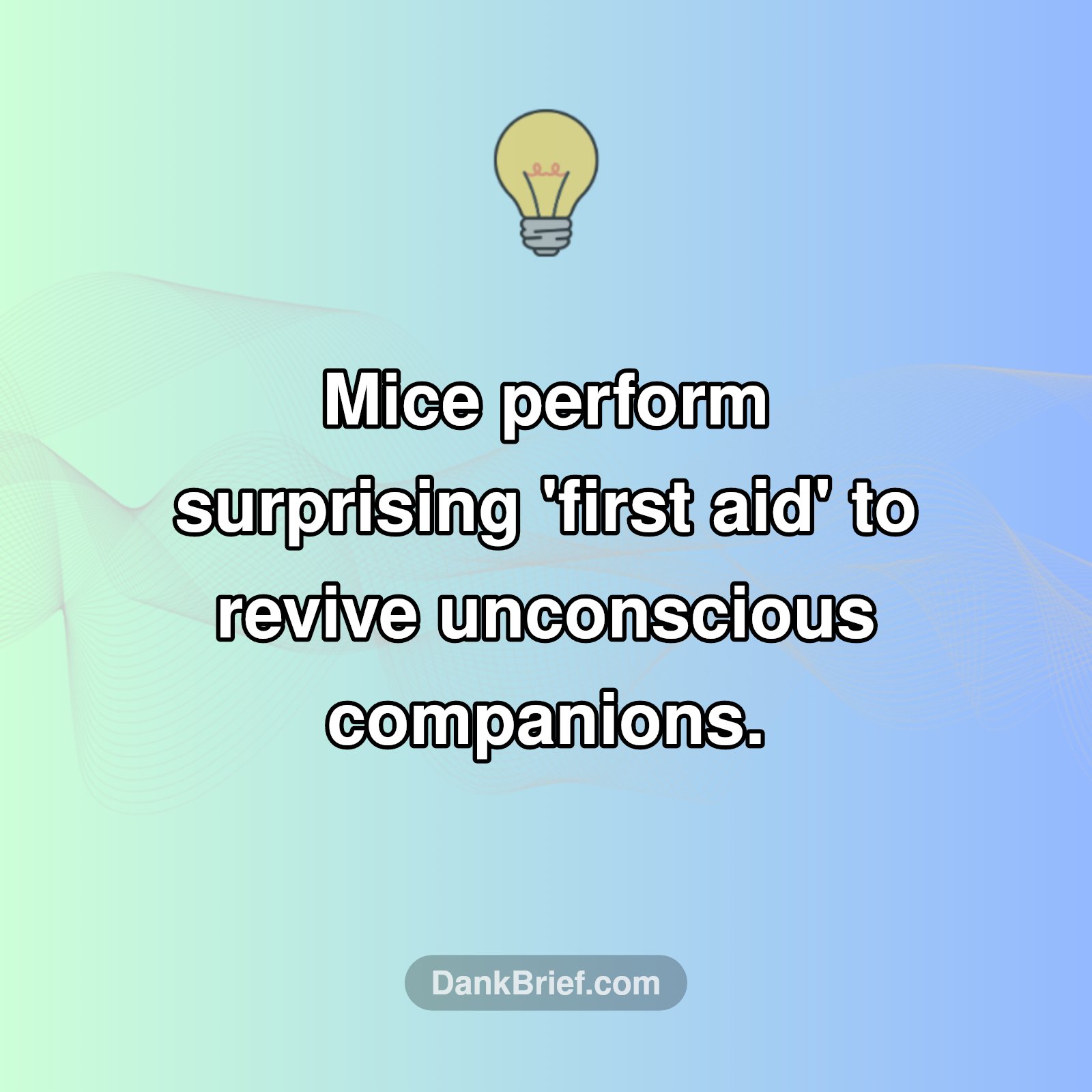 Mice to the Rescue!