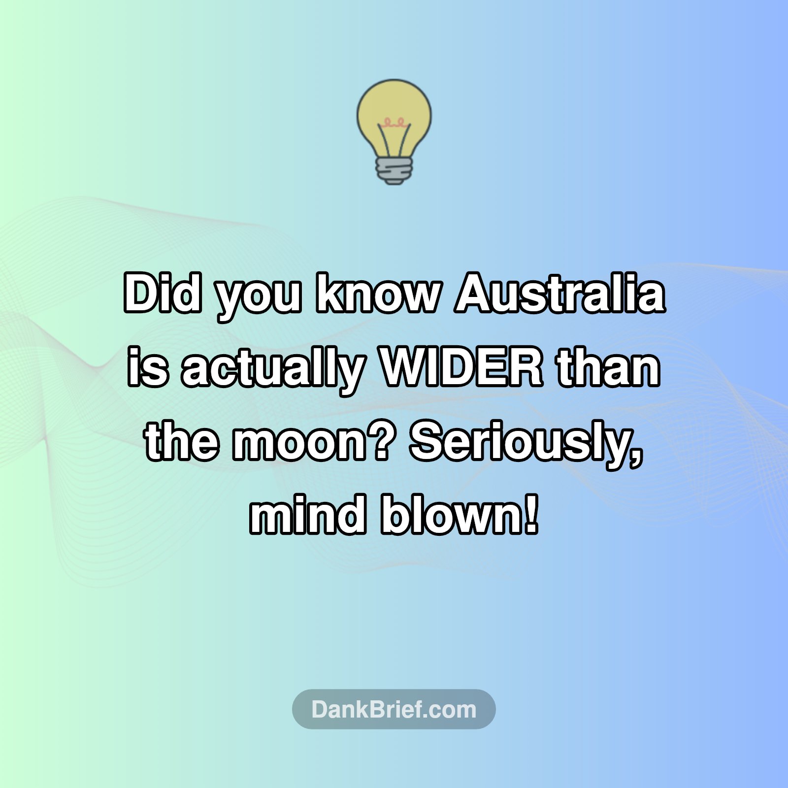 Australia is WILDER Than You Think!