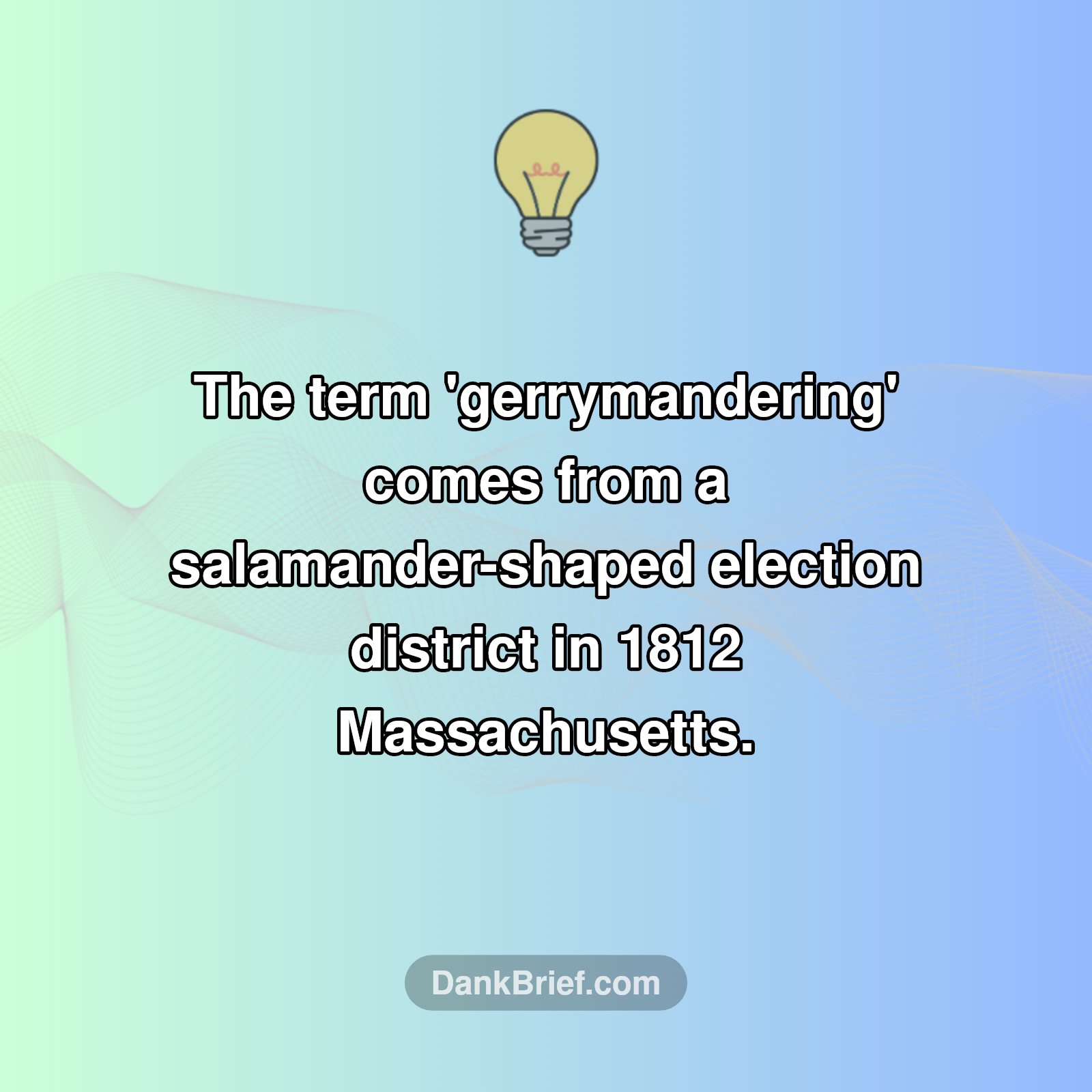 Seriously, a Salamander?
