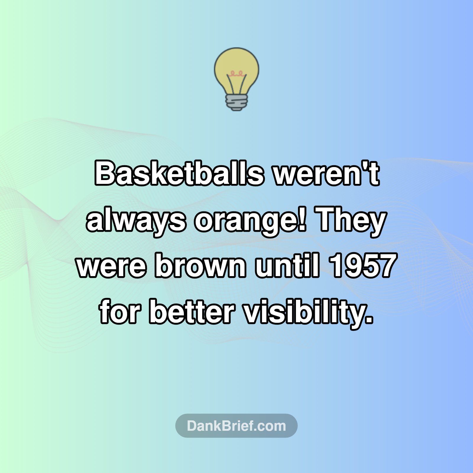 Basketball's OG Color?