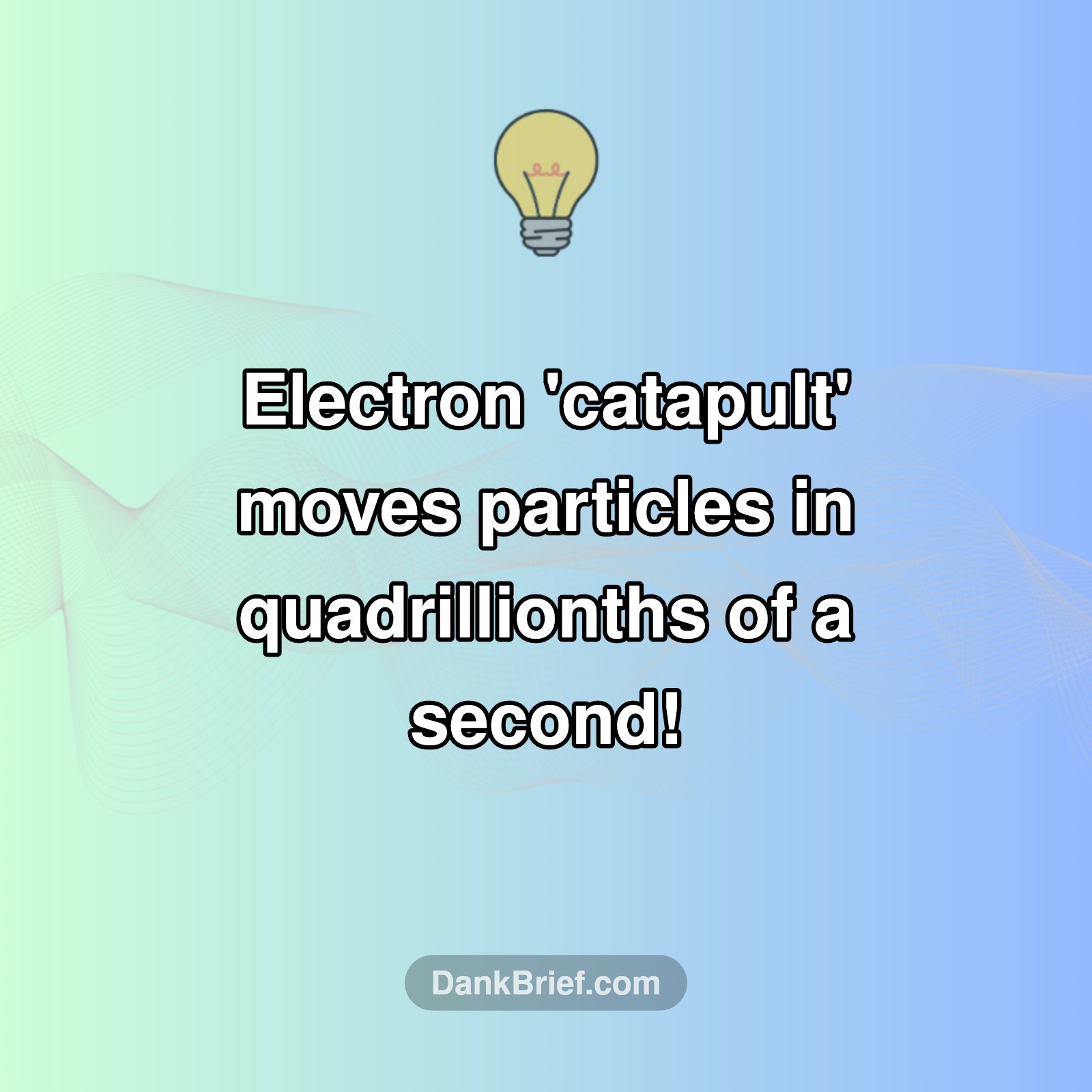 Physics Just Got Wild!