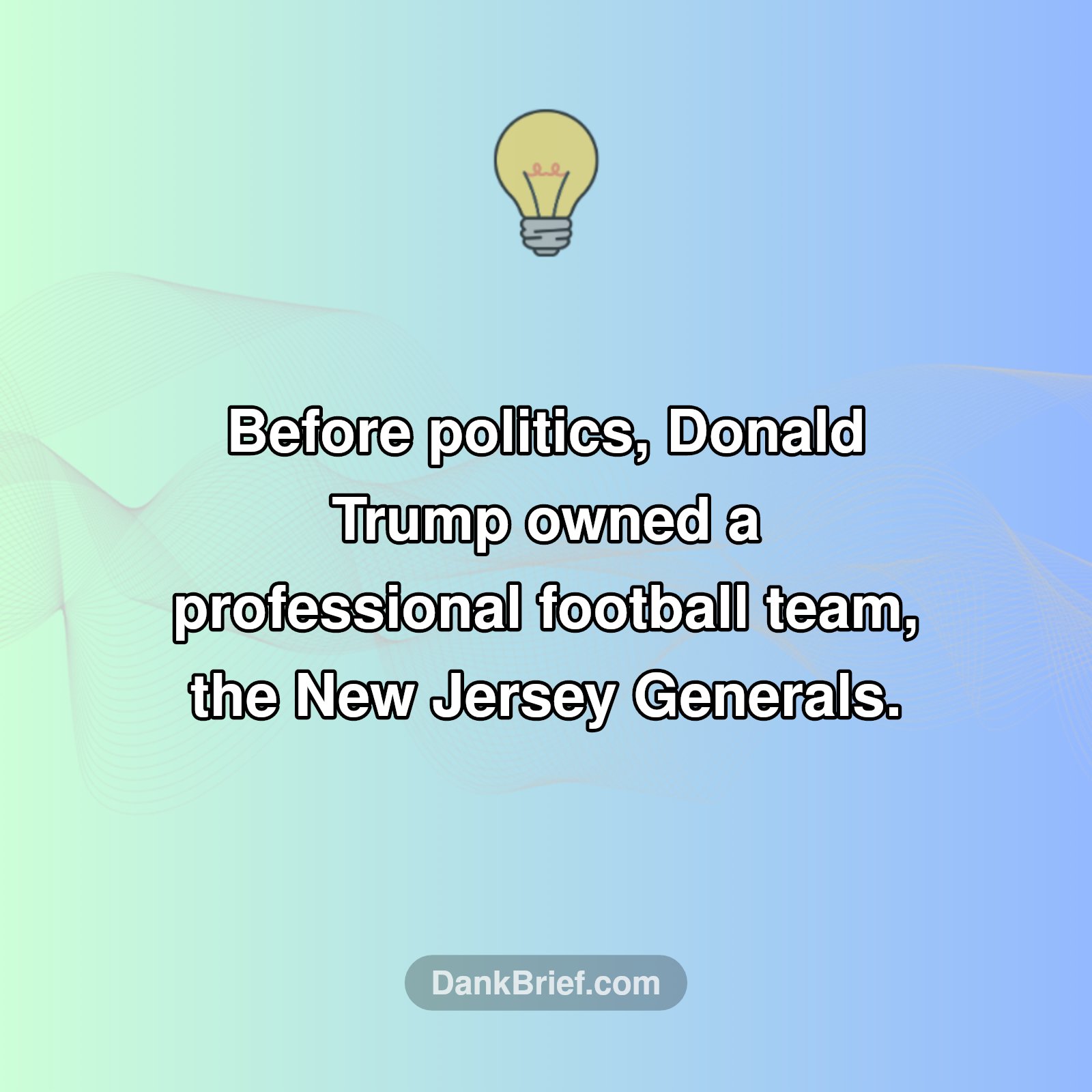 Before the Oval Office: Trump's Pro Sports Stint!