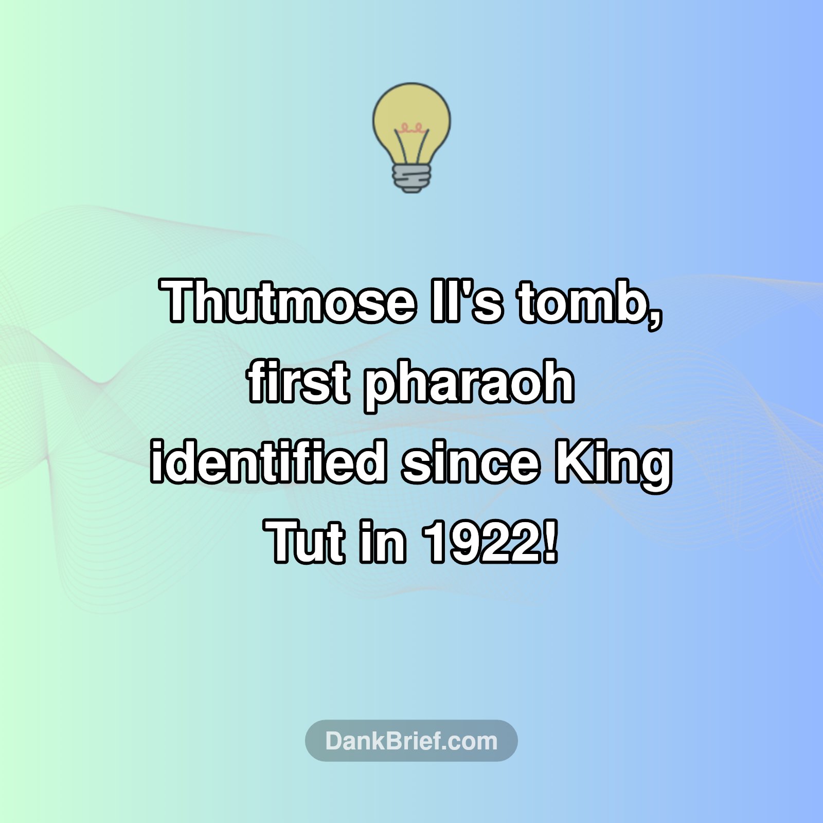 A New King Tut Moment?