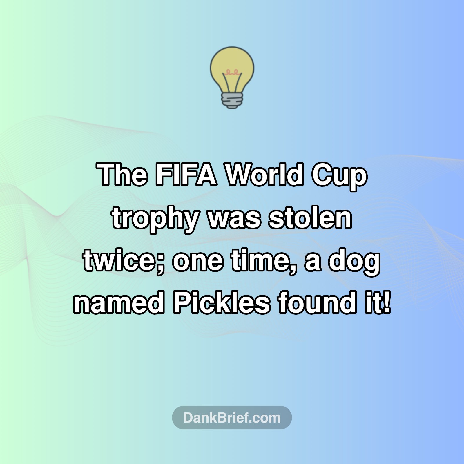 The Day a Dog Saved Football History!