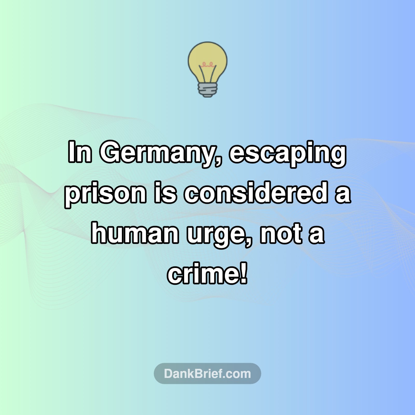 Freedom's Loophole: Germany's Prison Escape Law