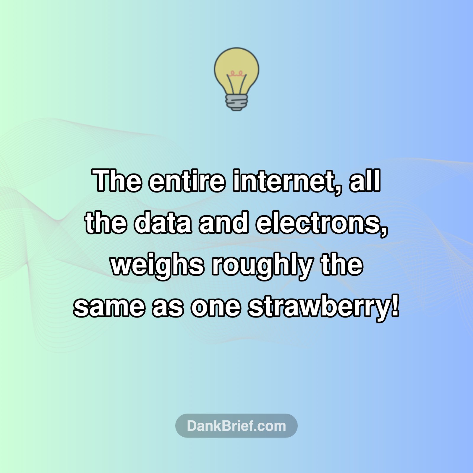 🤯 Mind Blown: The Internet's SECRET Weight!