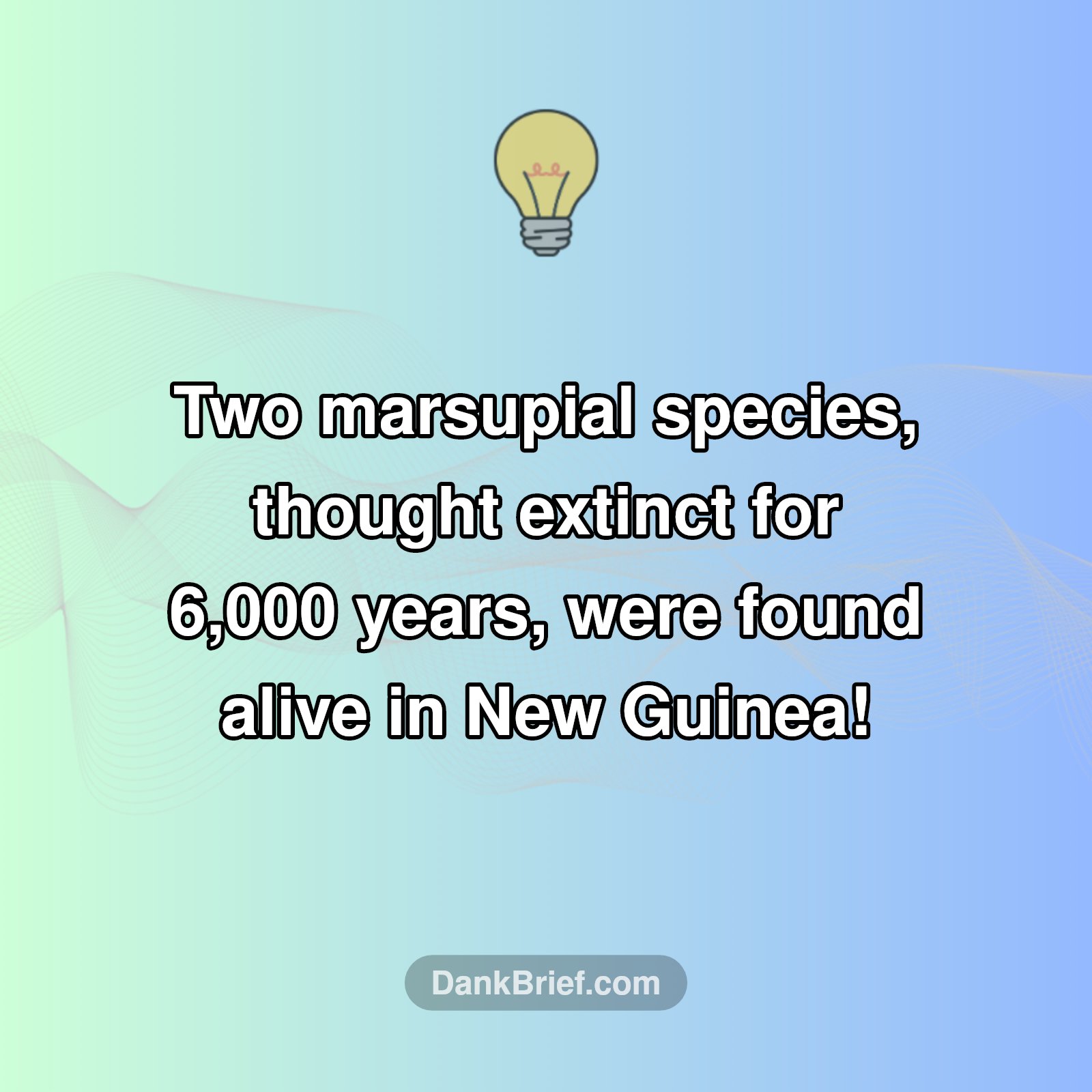 Lost for Millennia: The Marsupial Comeback!